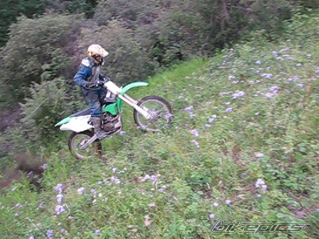 Photo 2250889