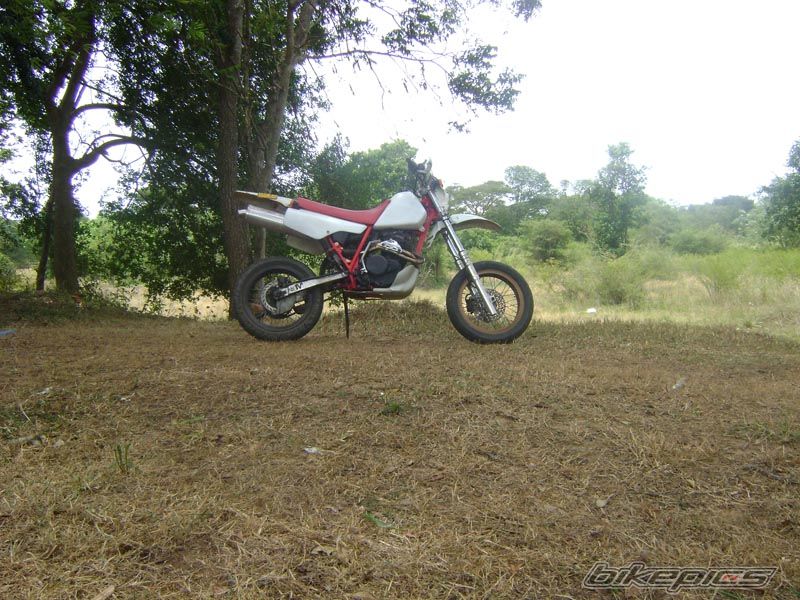 Photo 2250911