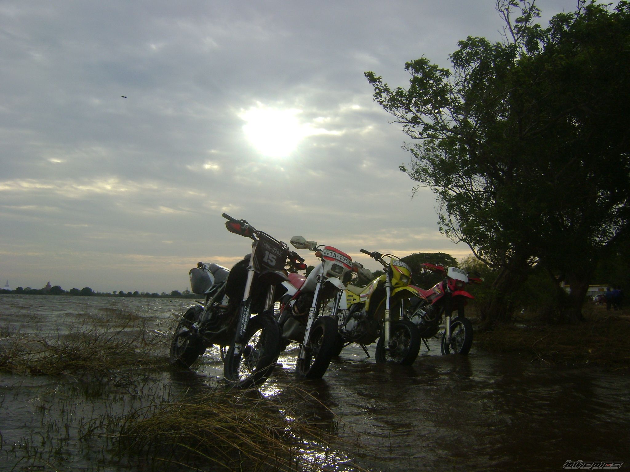 Photo 2250912