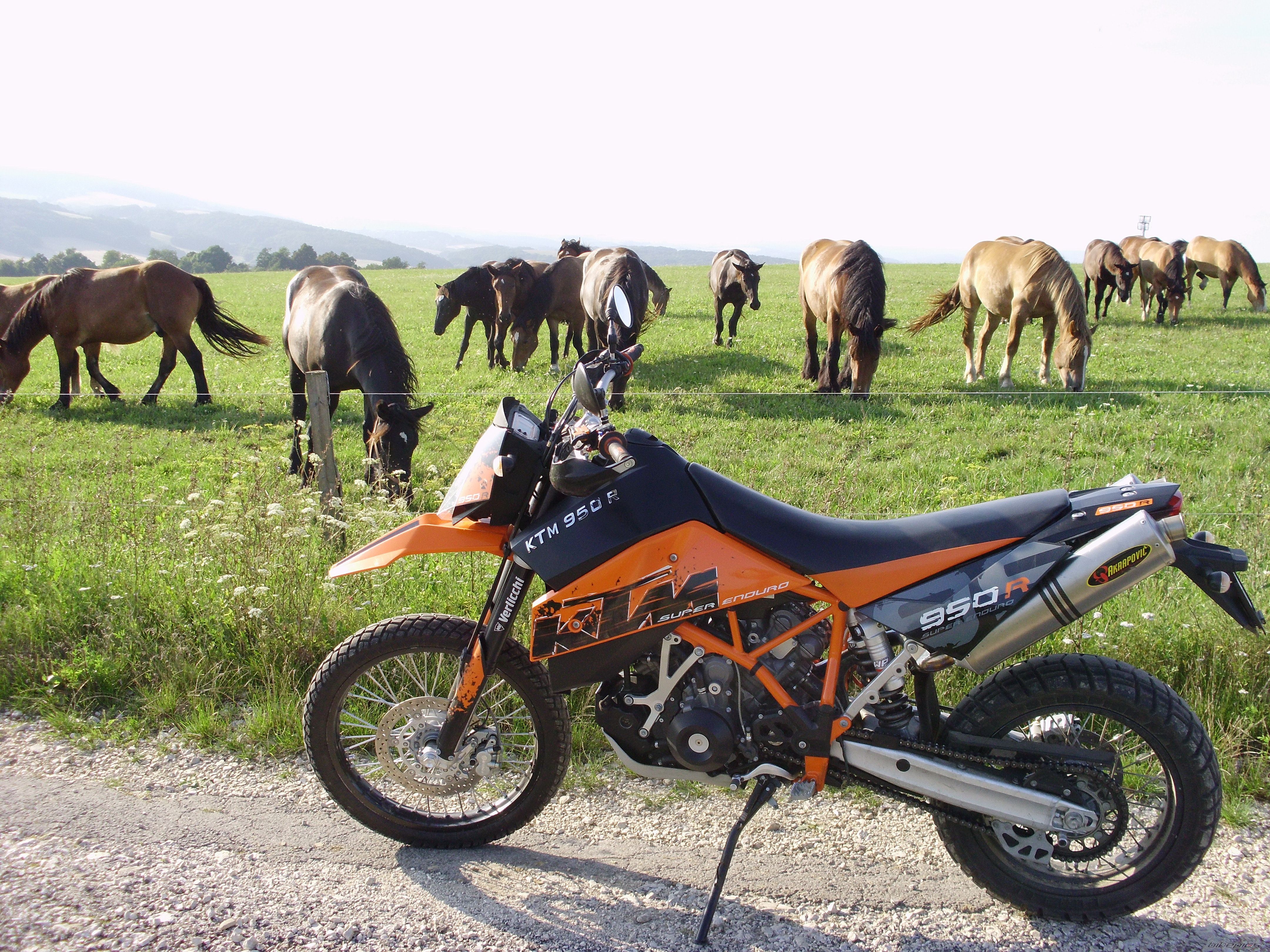 Photo 2251039