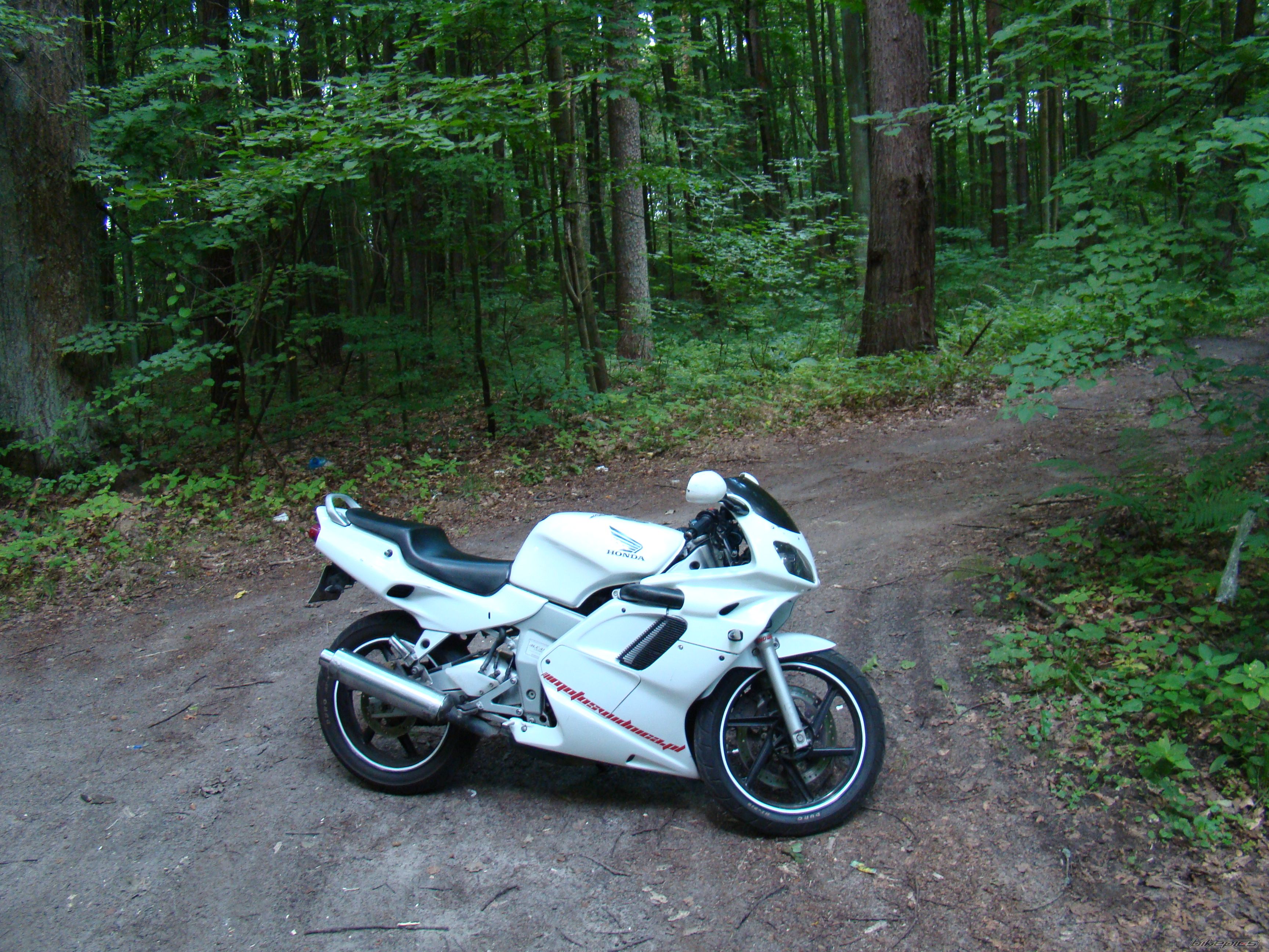 Photo 2251044