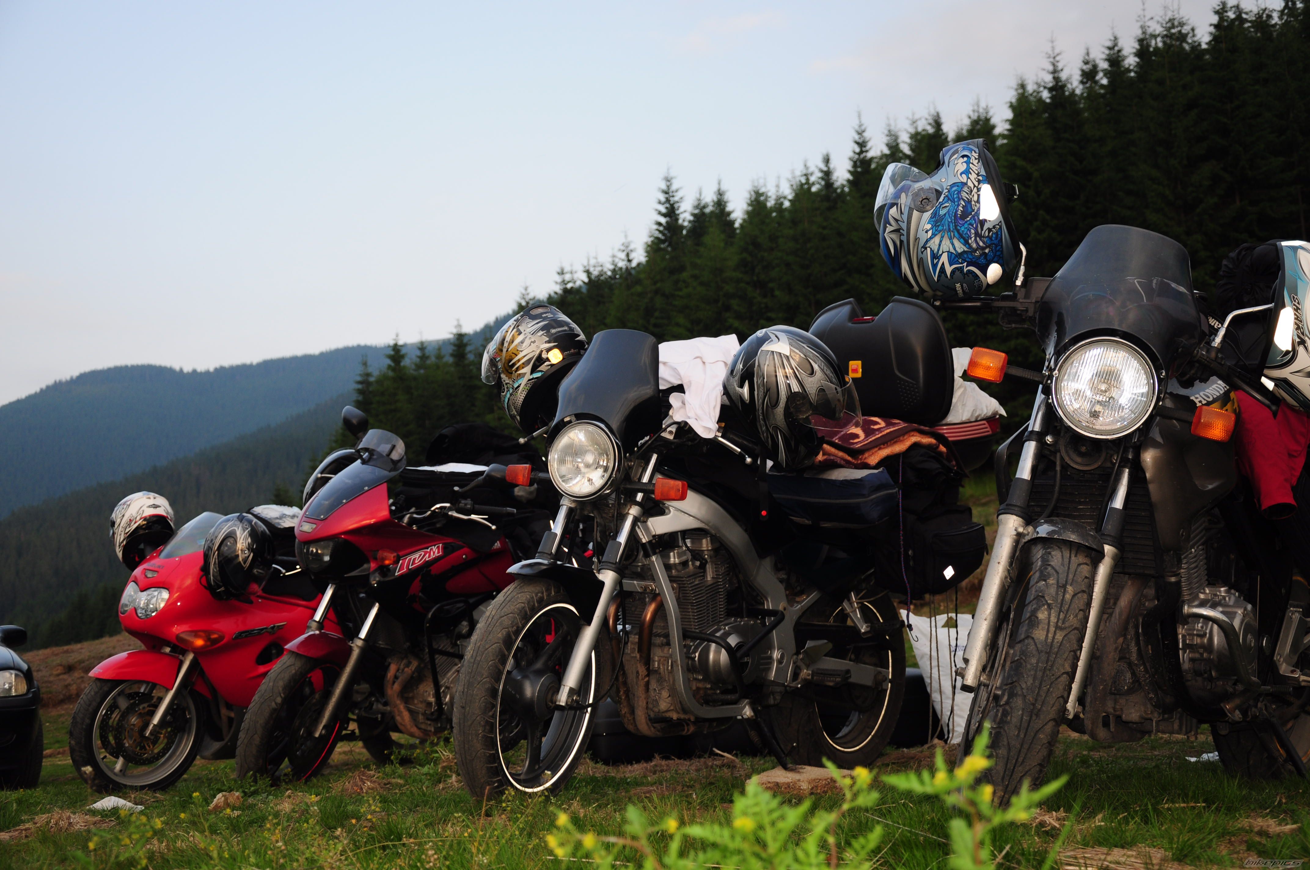 Photo 2251053