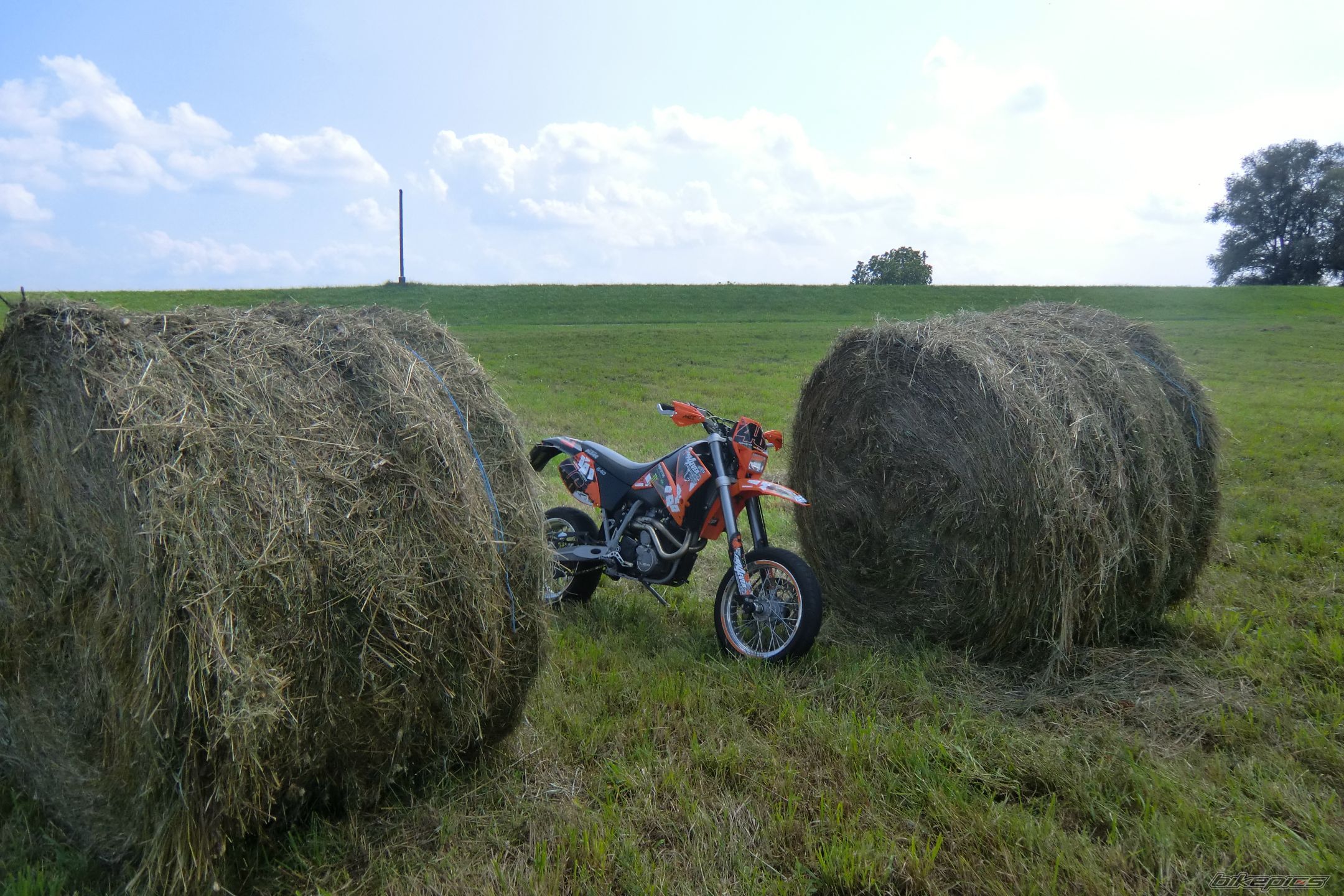 Photo 2251159