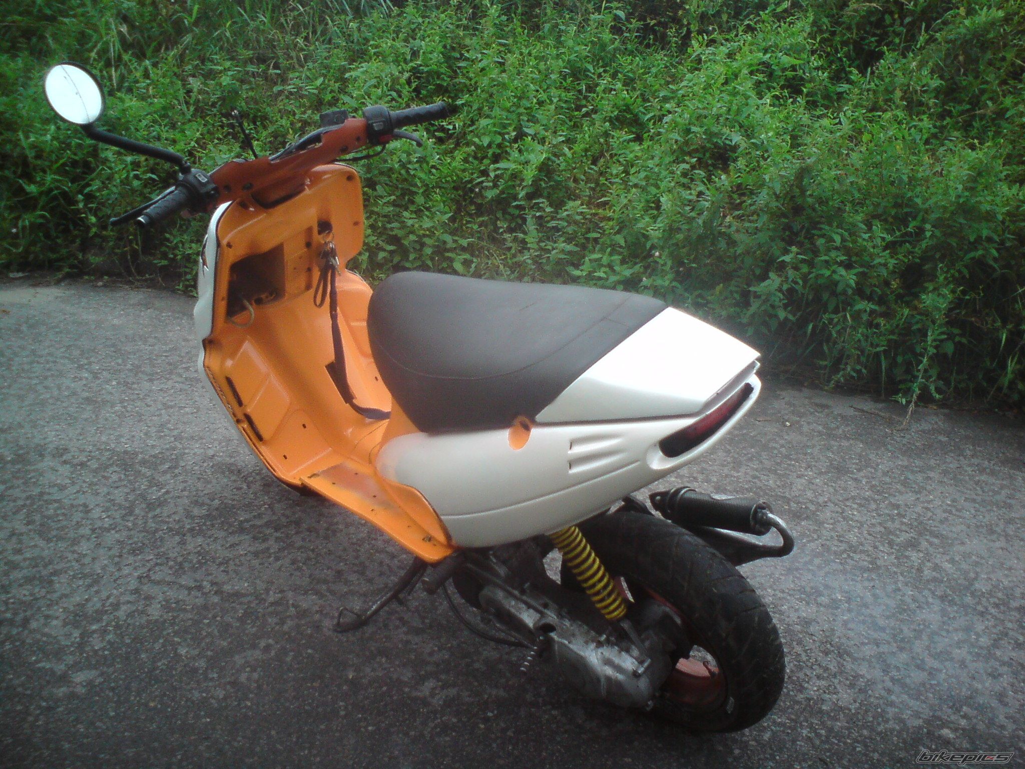 Photo 2251254