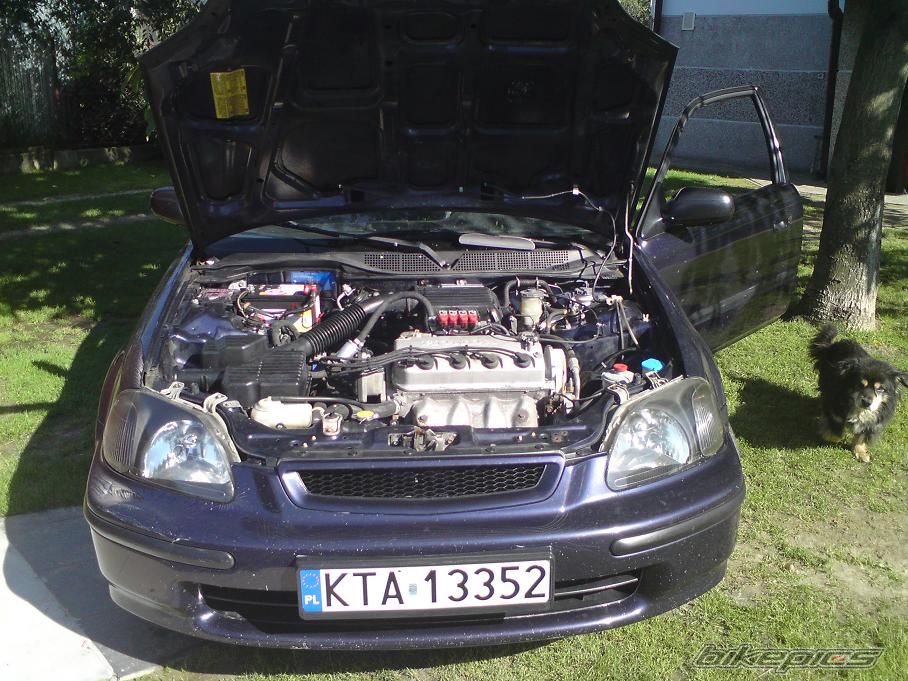 Photo 2251259