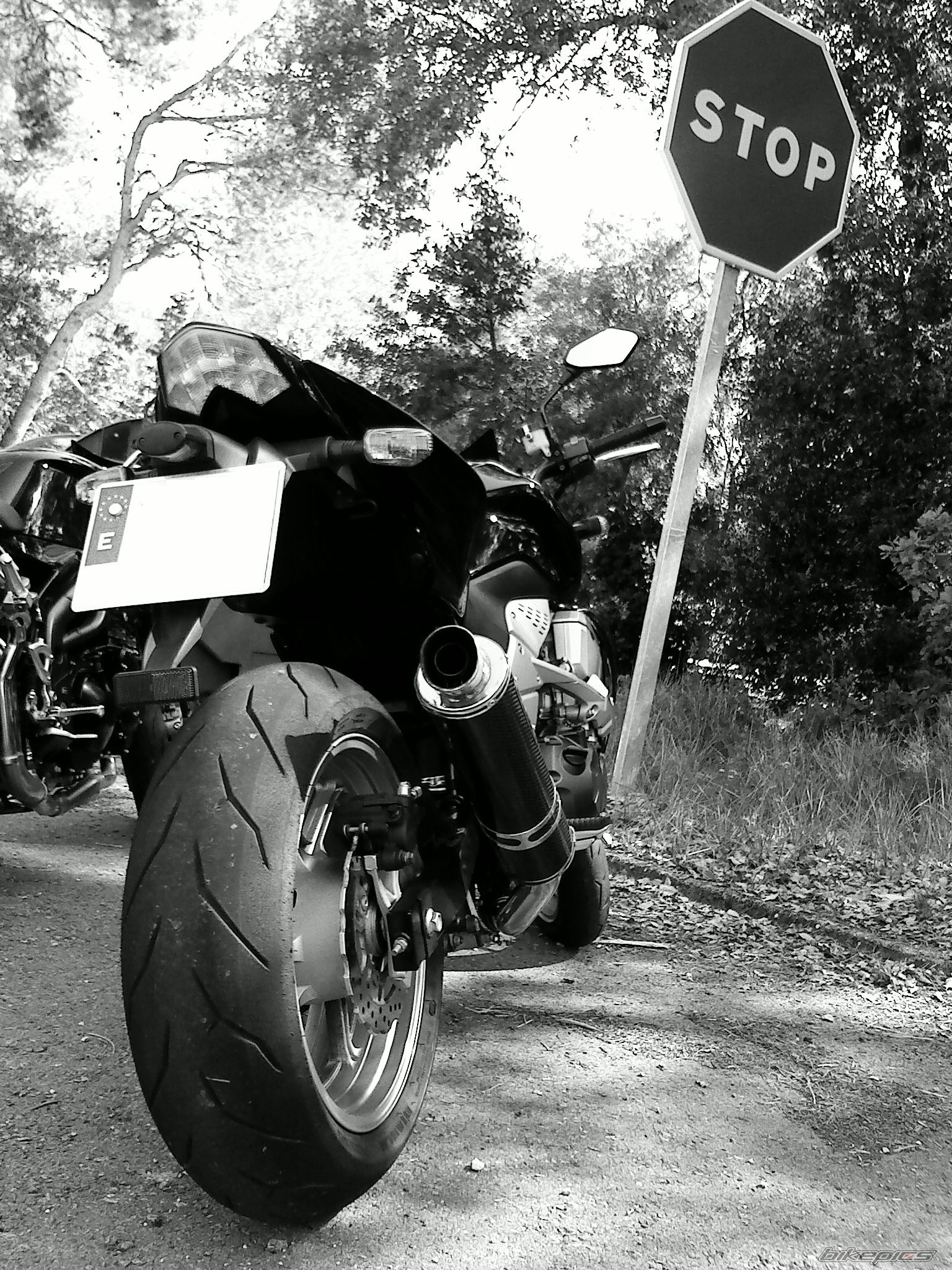 Photo 2251374