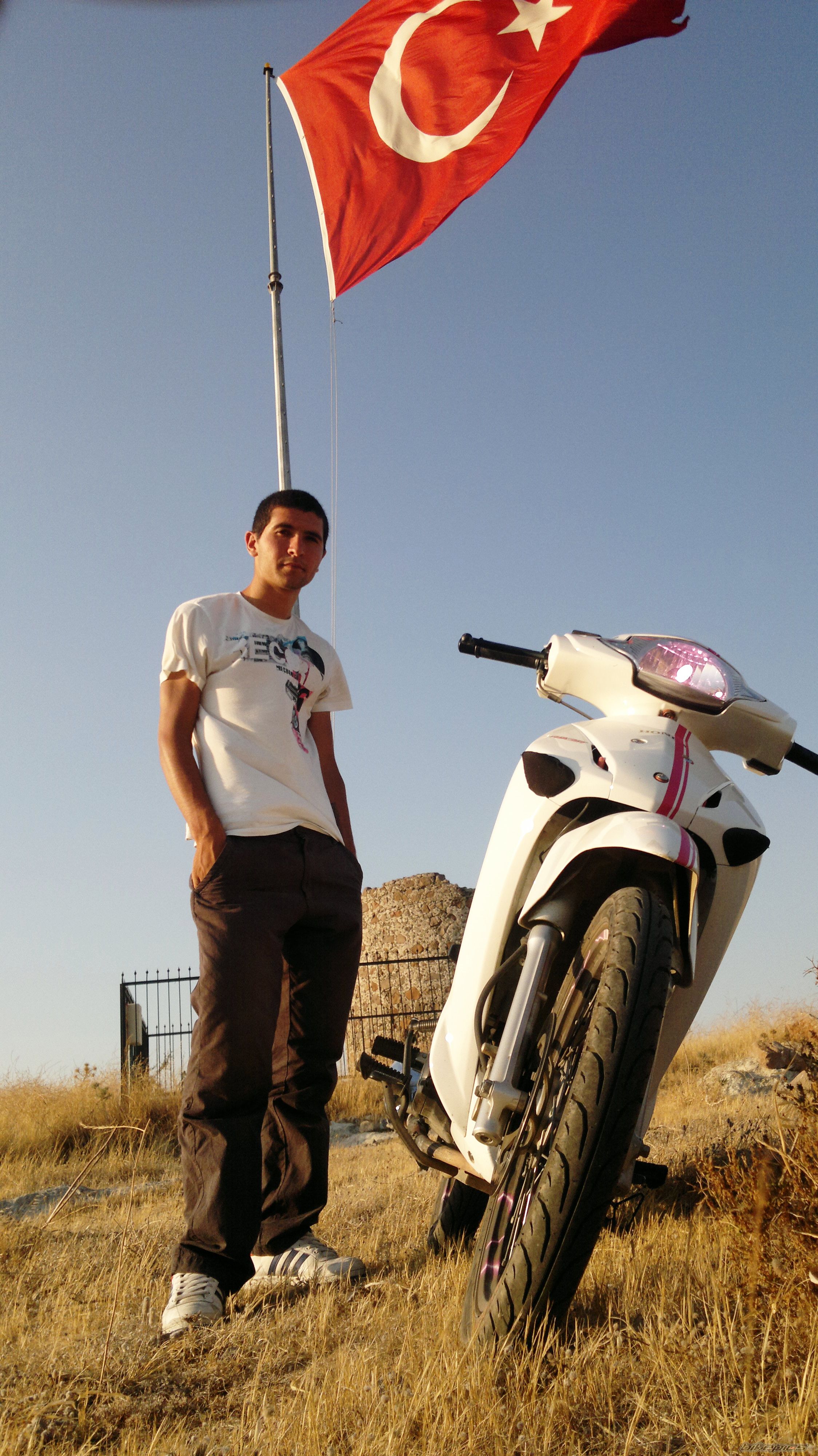 Photo 2251503