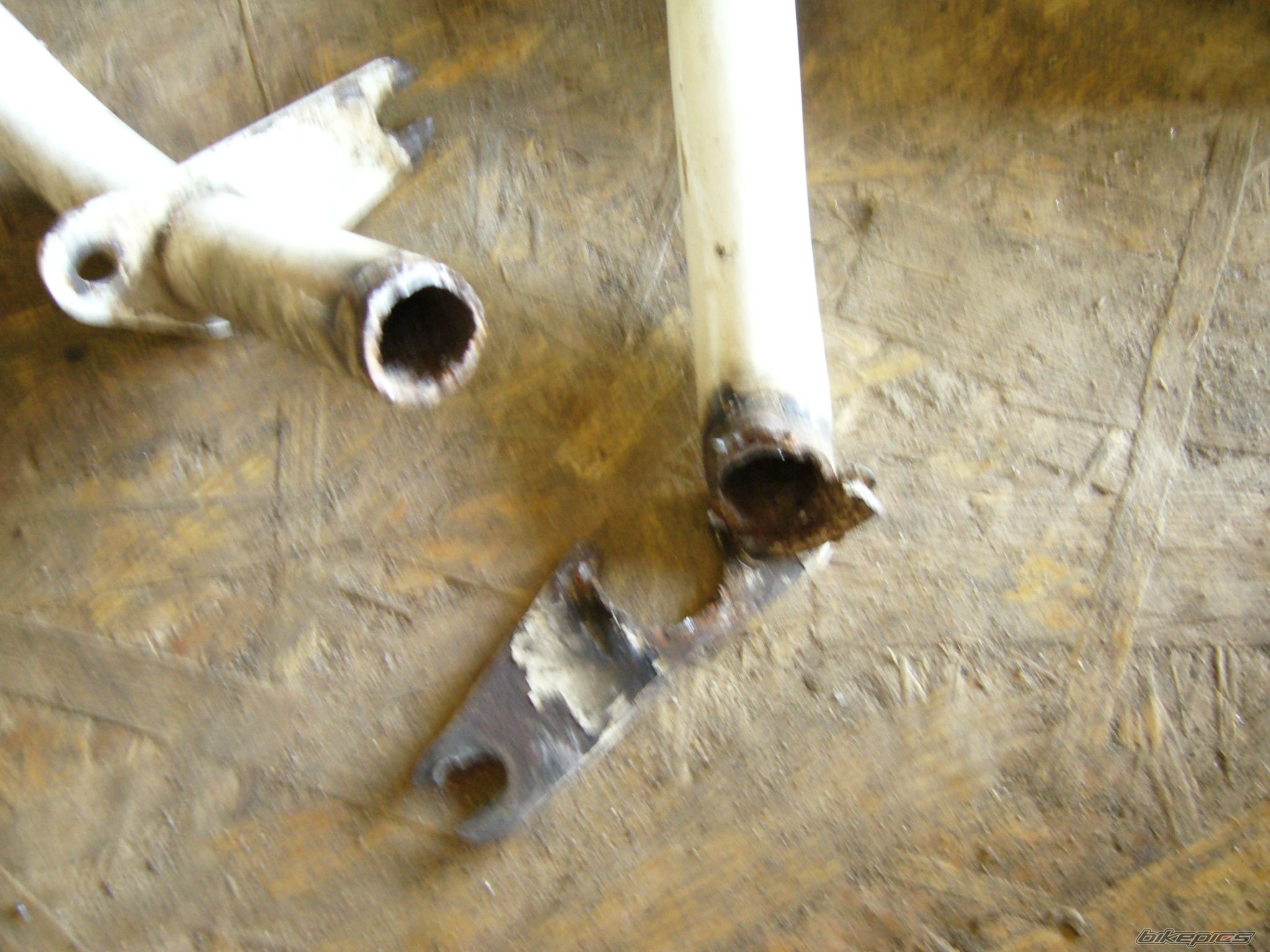 Photo 2251561