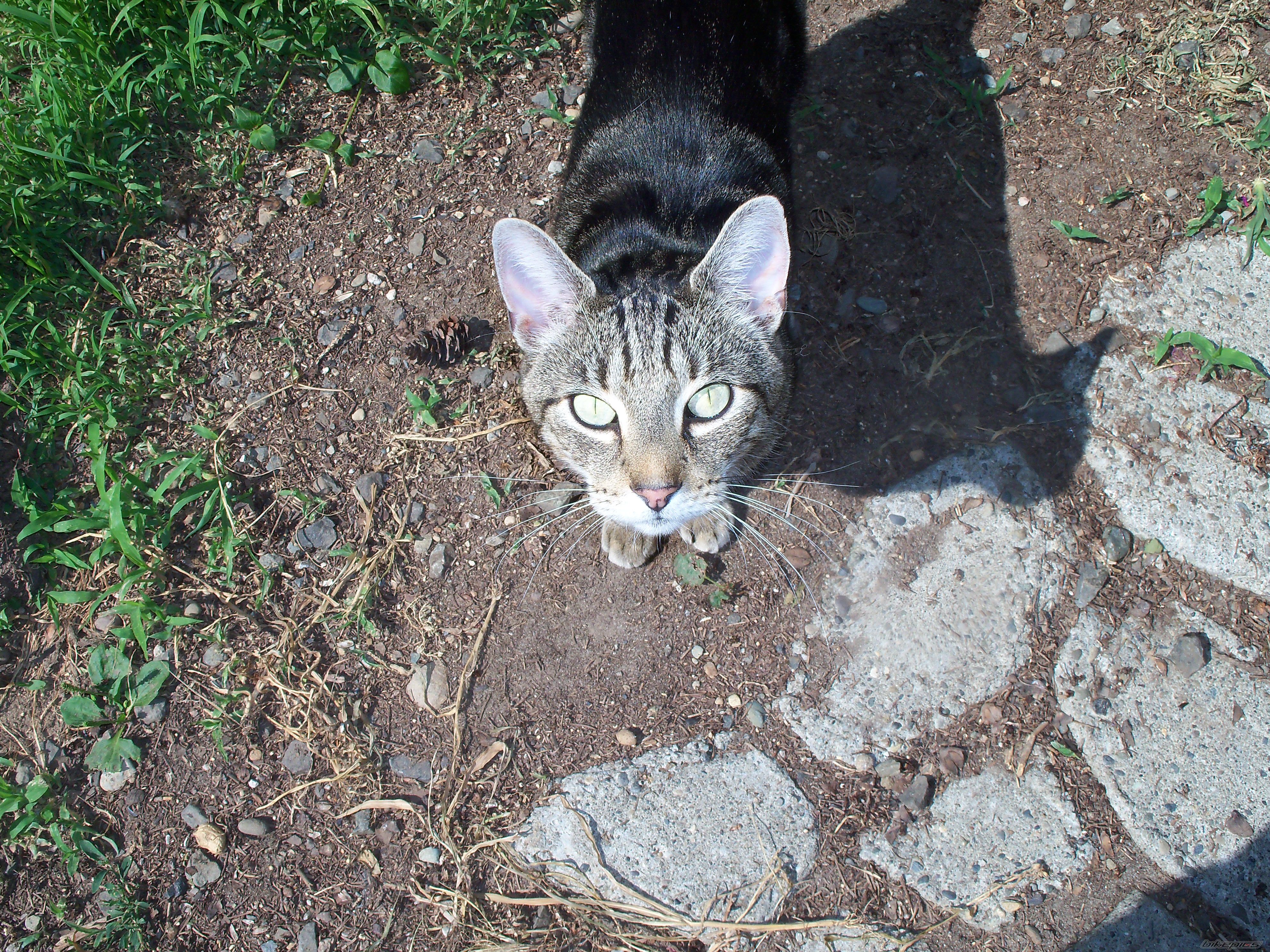Photo 2251566