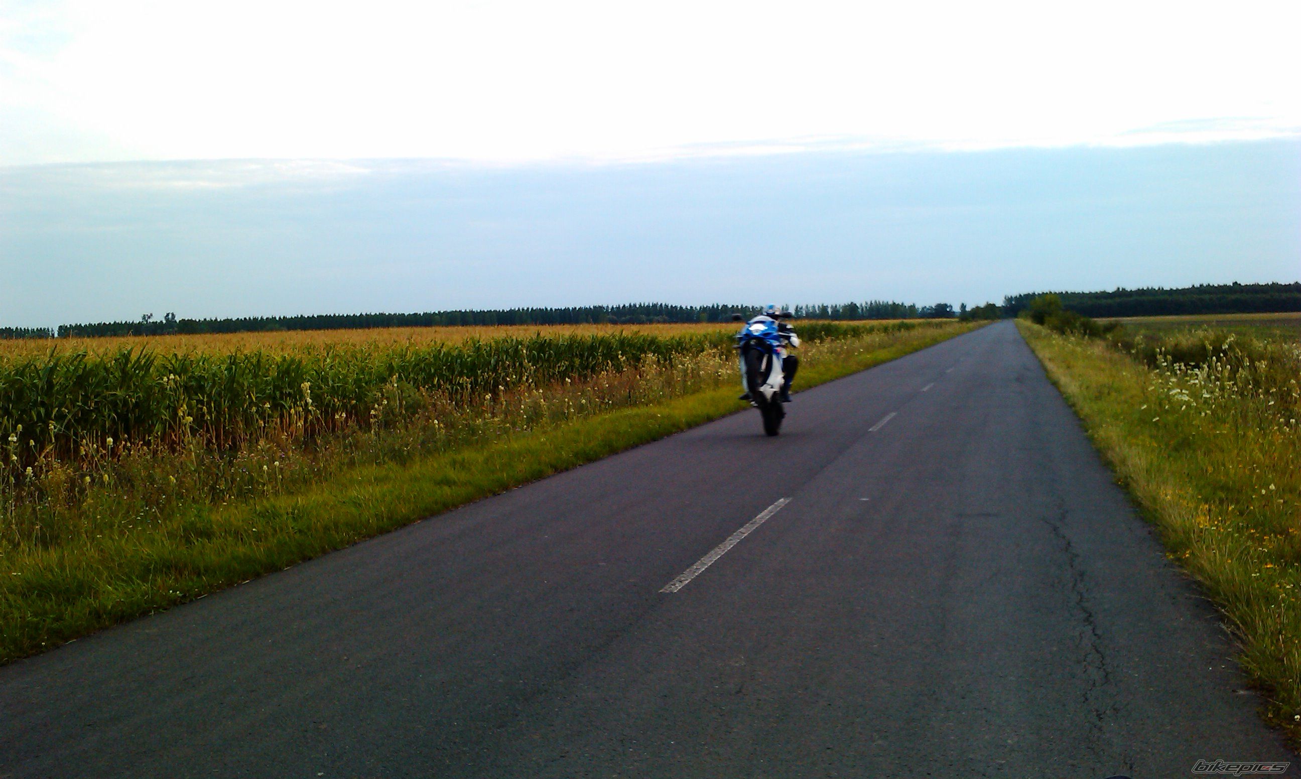 Photo 2251586