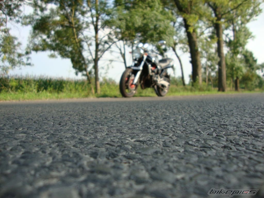 Photo 2251620