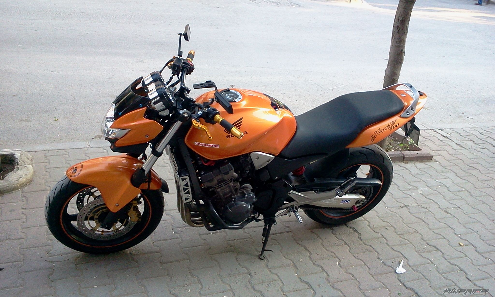 Photo 2251639