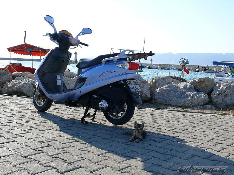 Photo 2251721