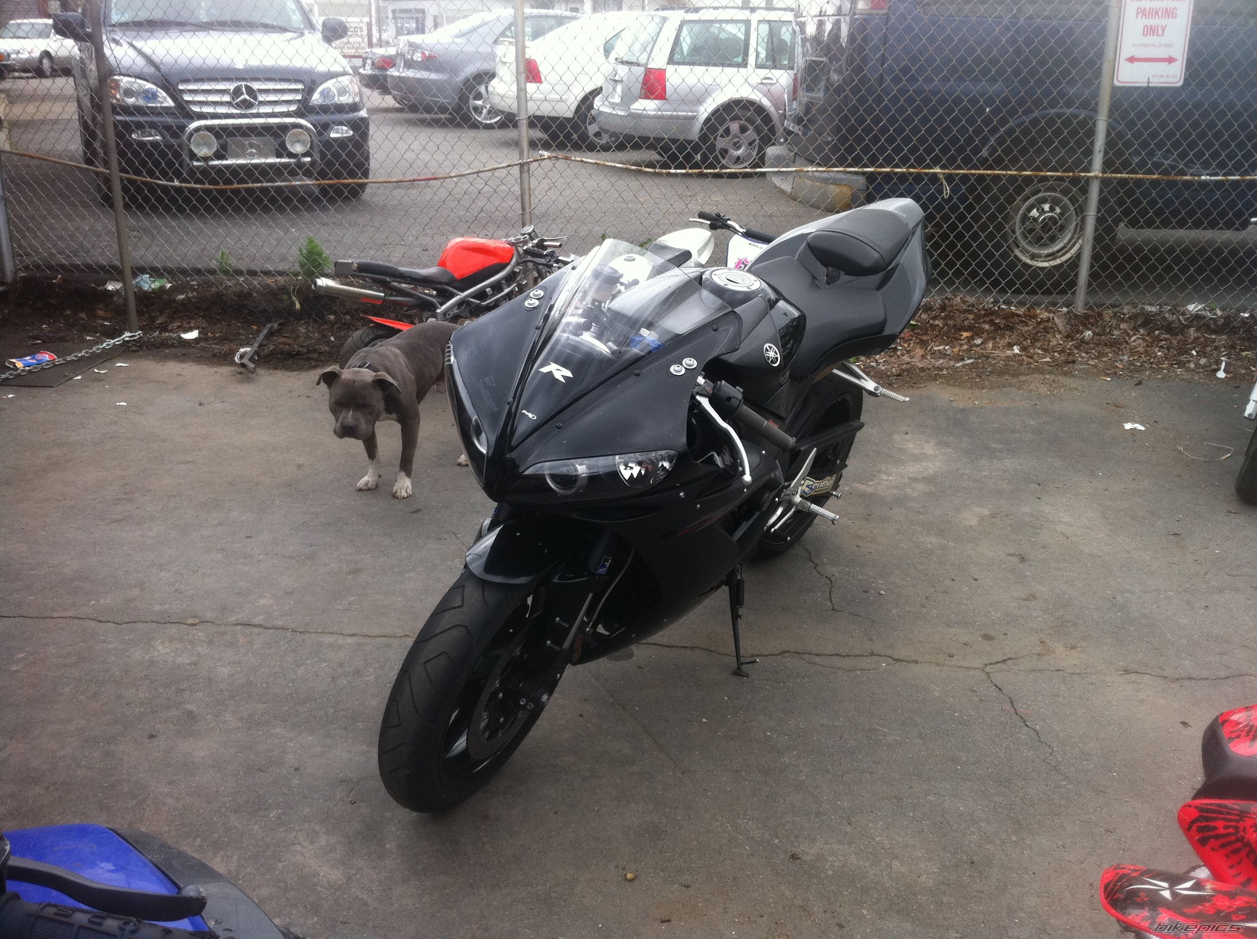 Photo 2251812