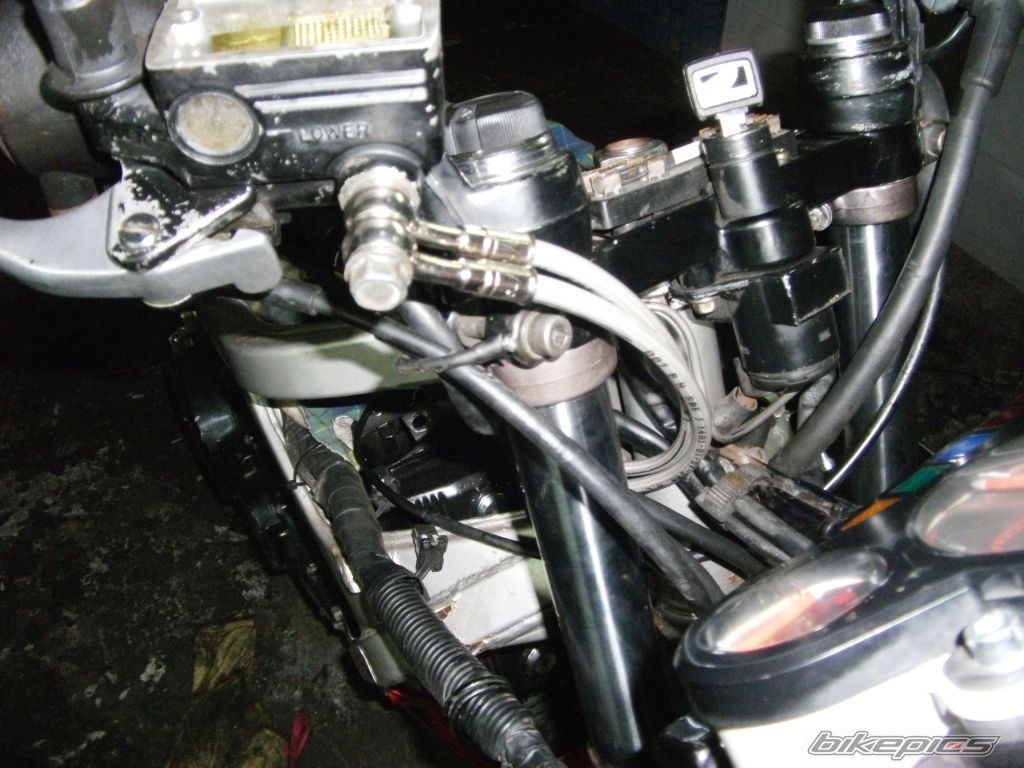 Photo 2251844