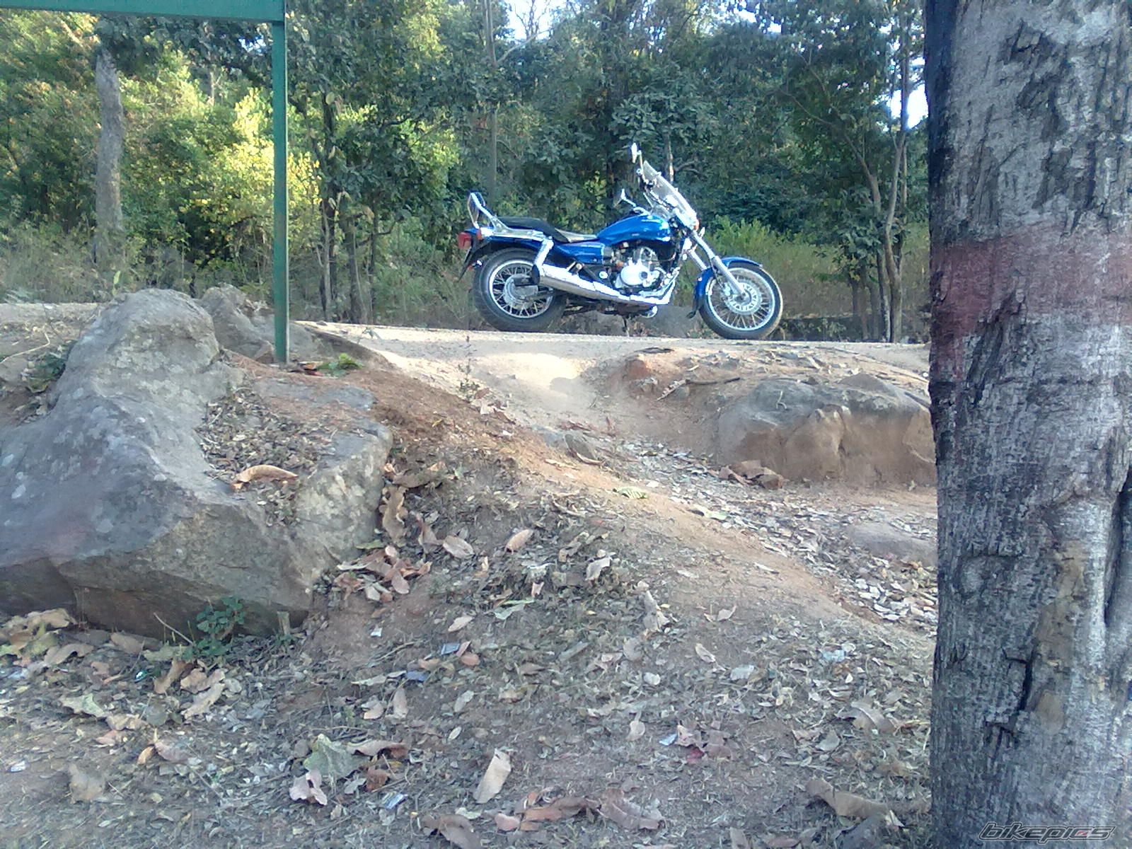 Photo 2251896