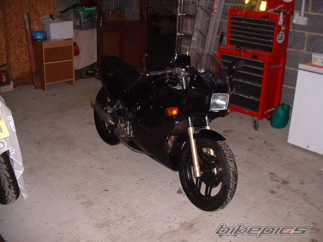 Photo 22520