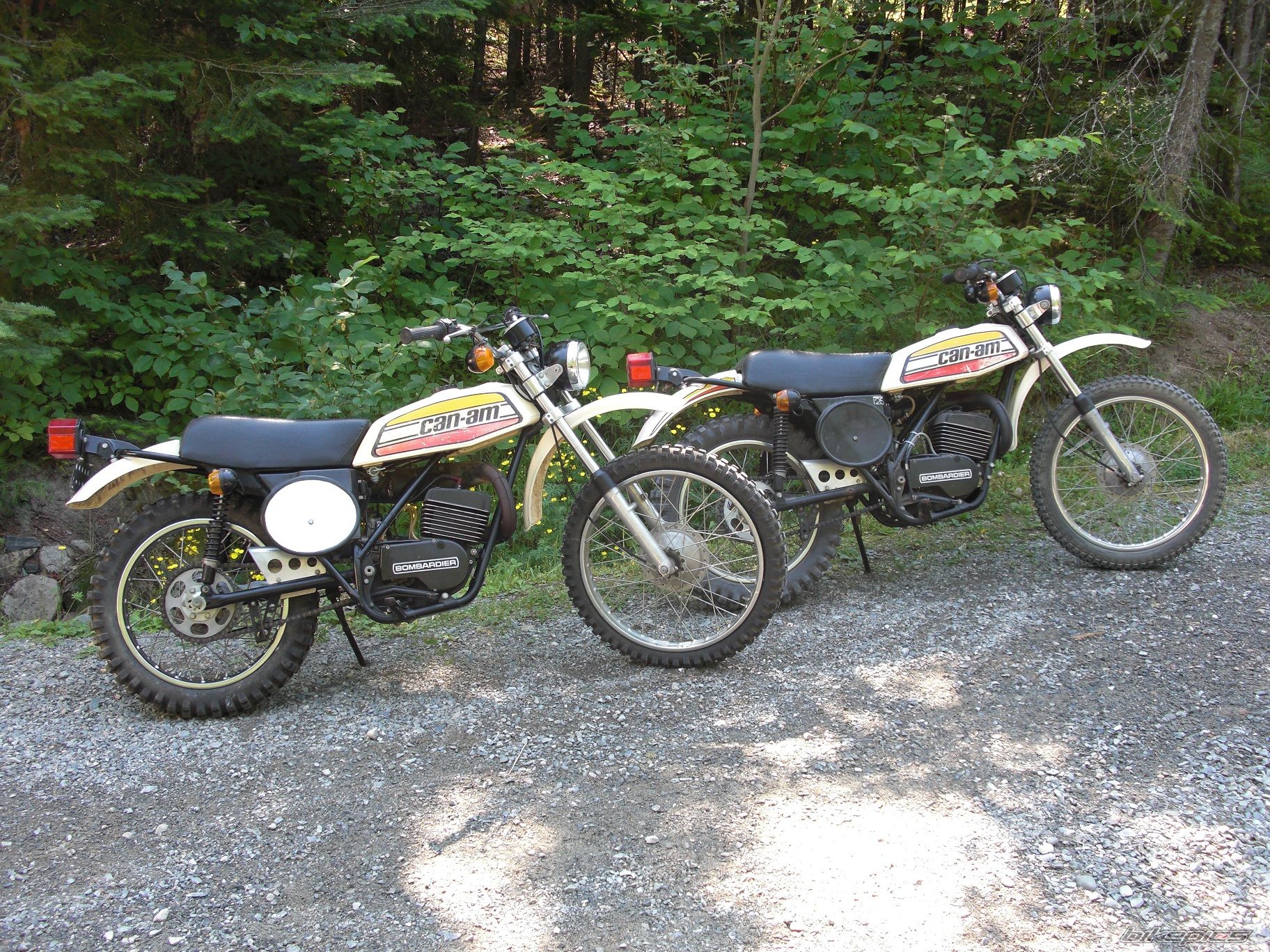 Photo 2252025
