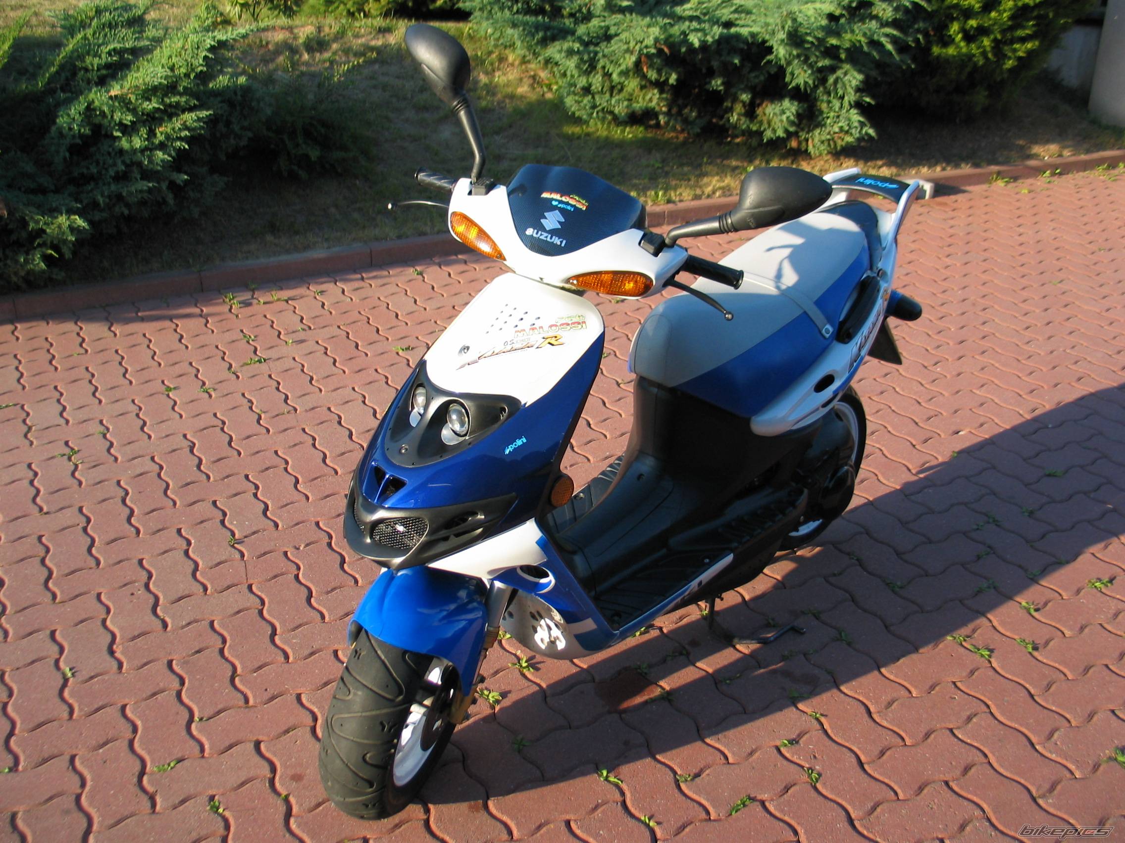 Photo 225226