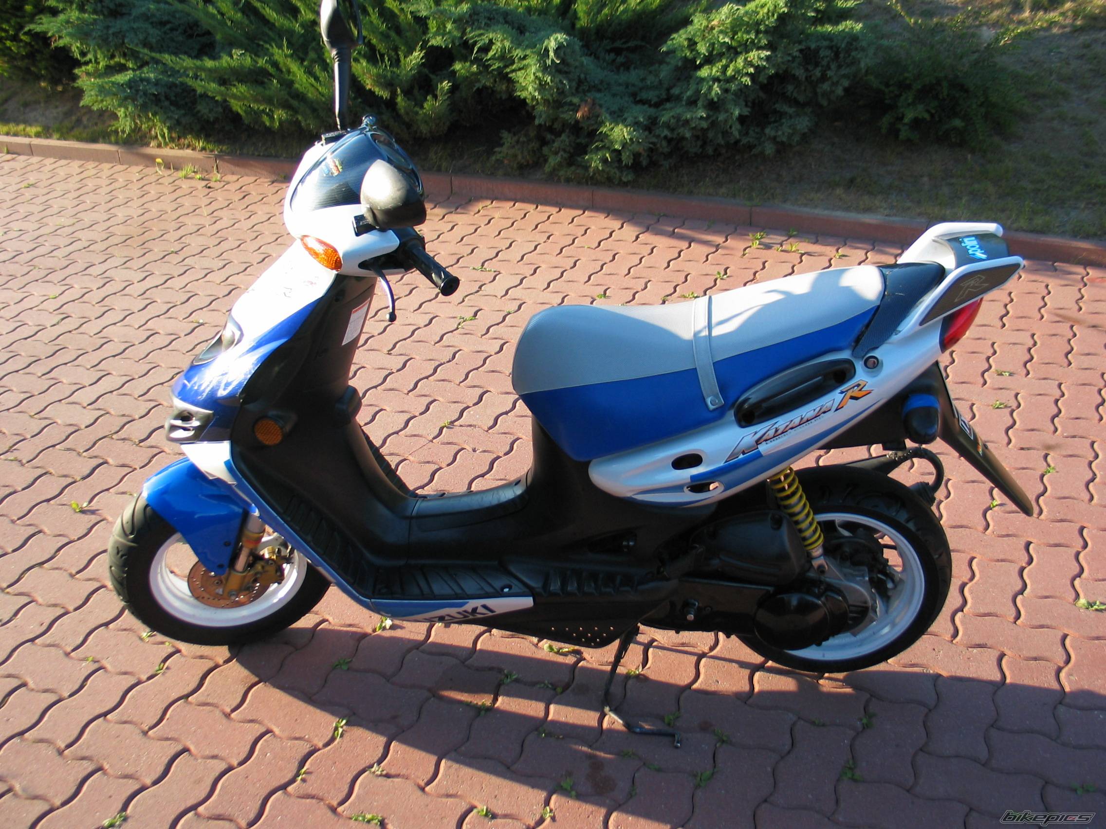 Photo 225227