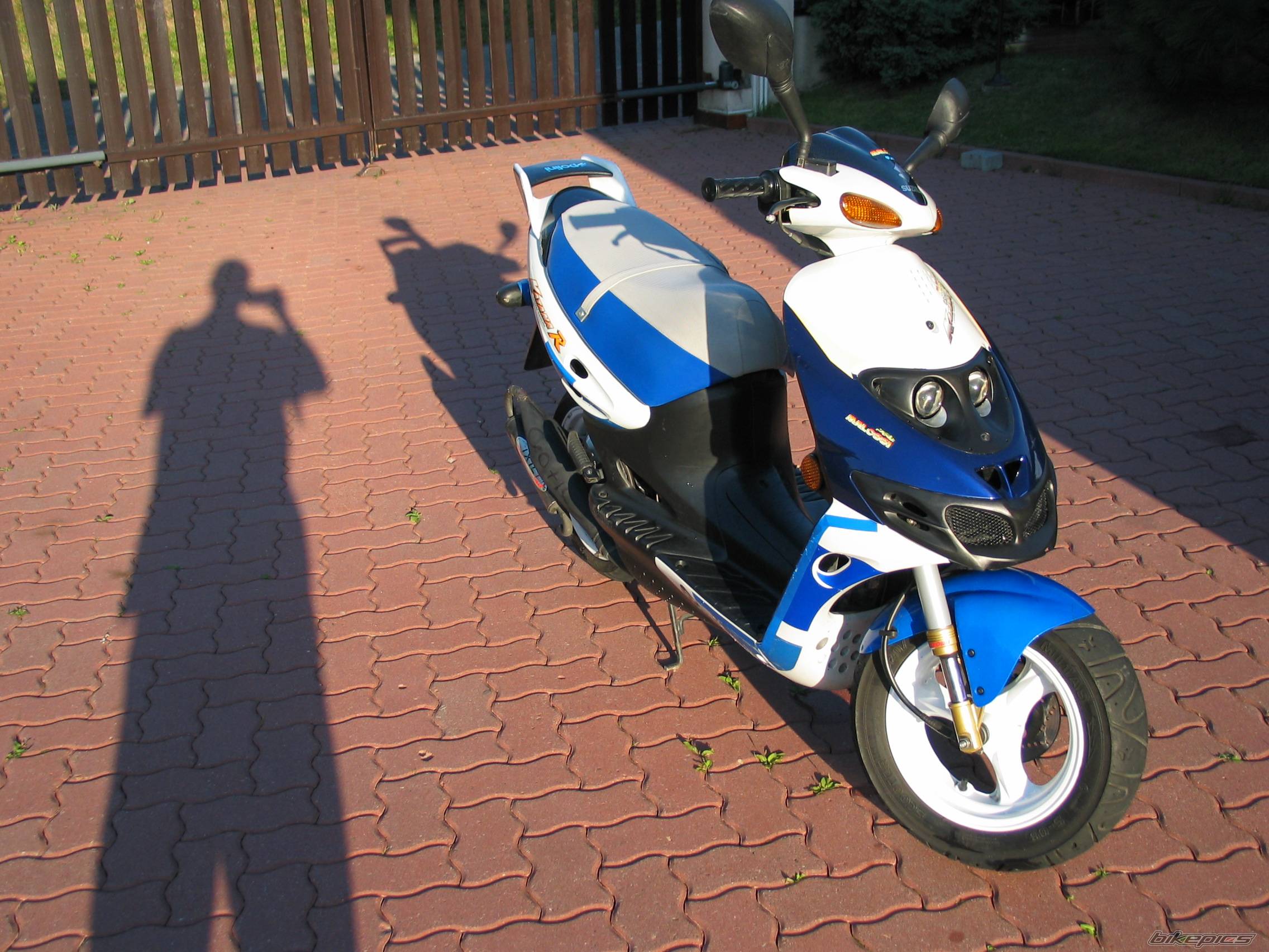Photo 225229