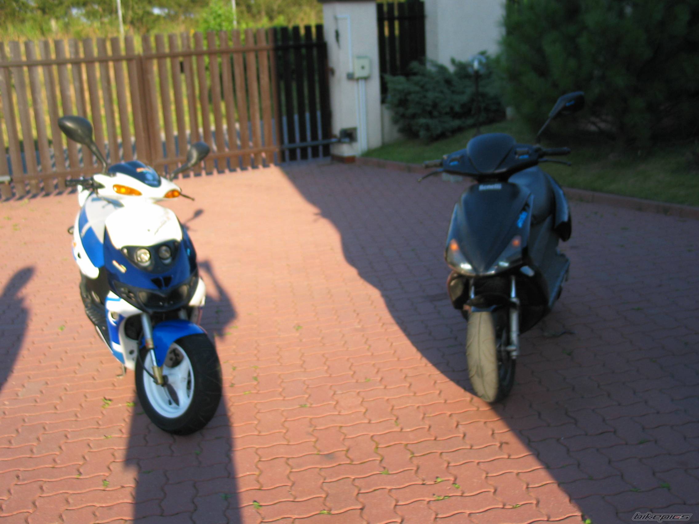 Photo 225234