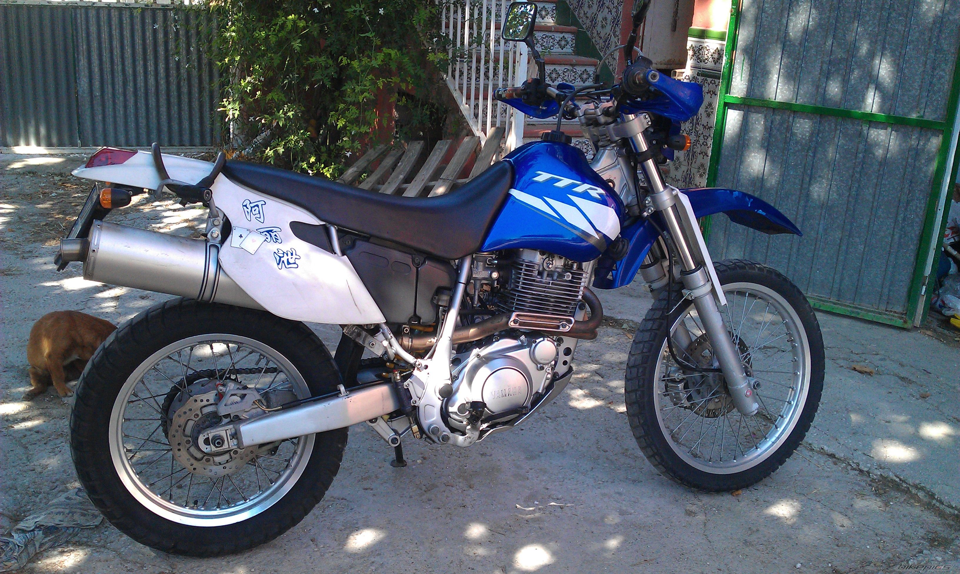 Photo 2252349