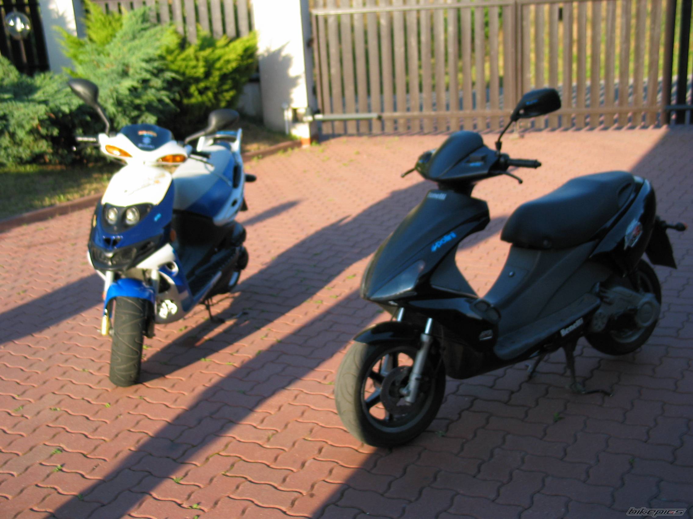 Photo 225235