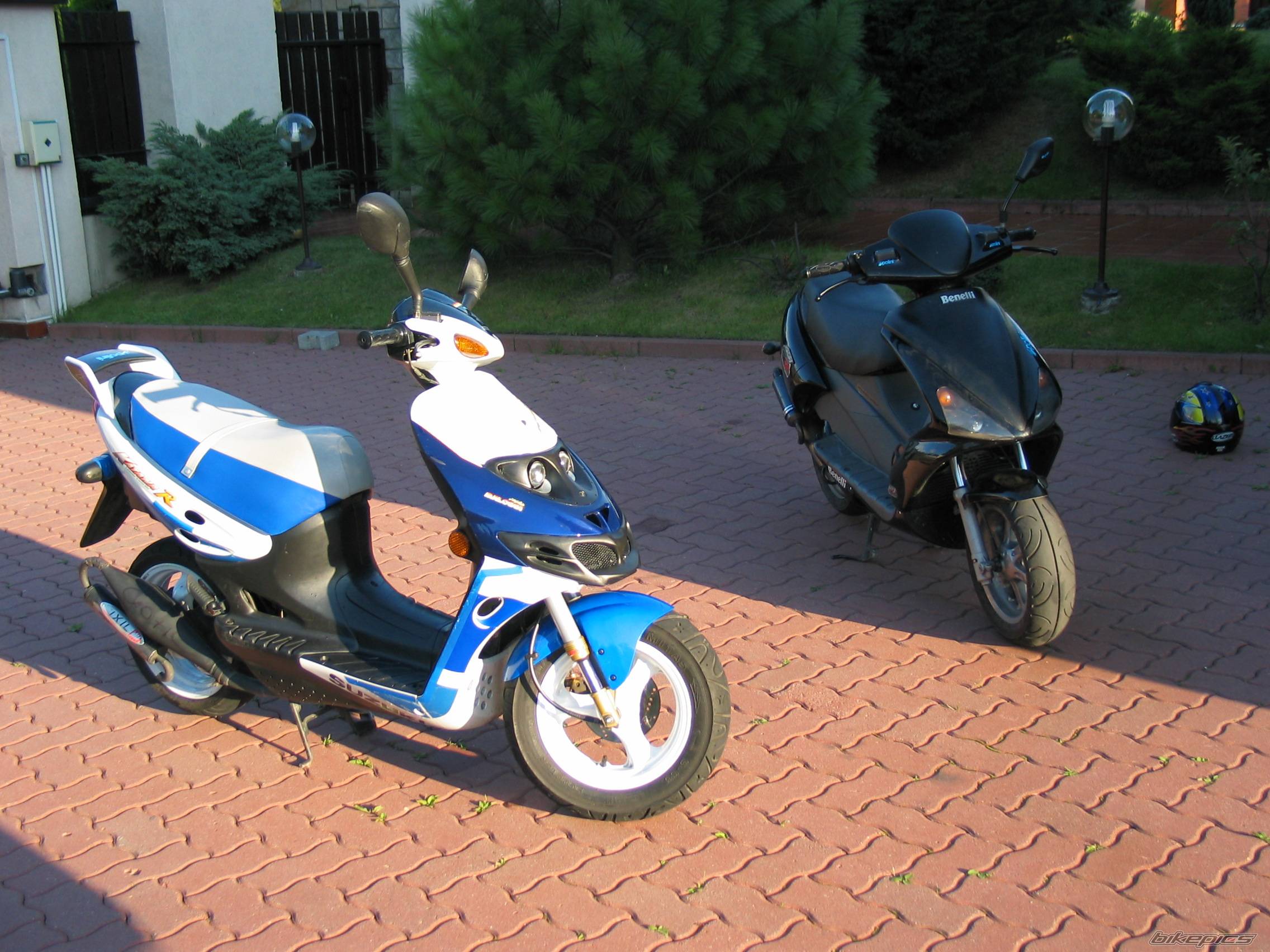 Photo 225236
