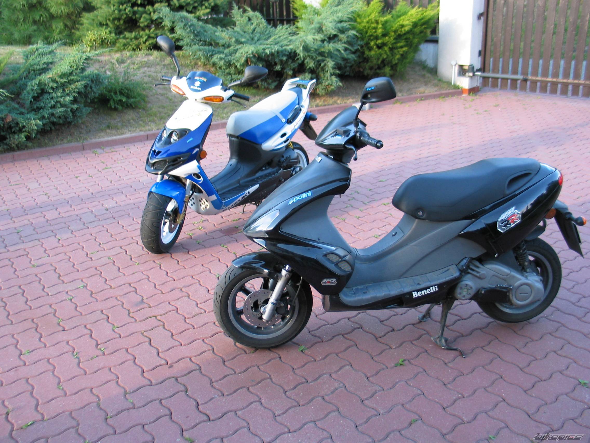 Photo 225237