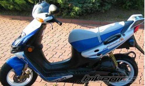 Photo 225242