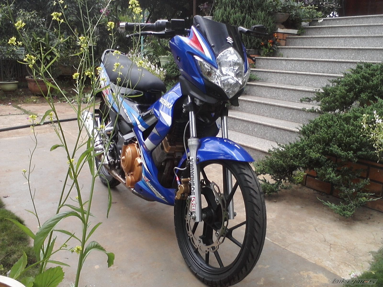 Photo 2252519