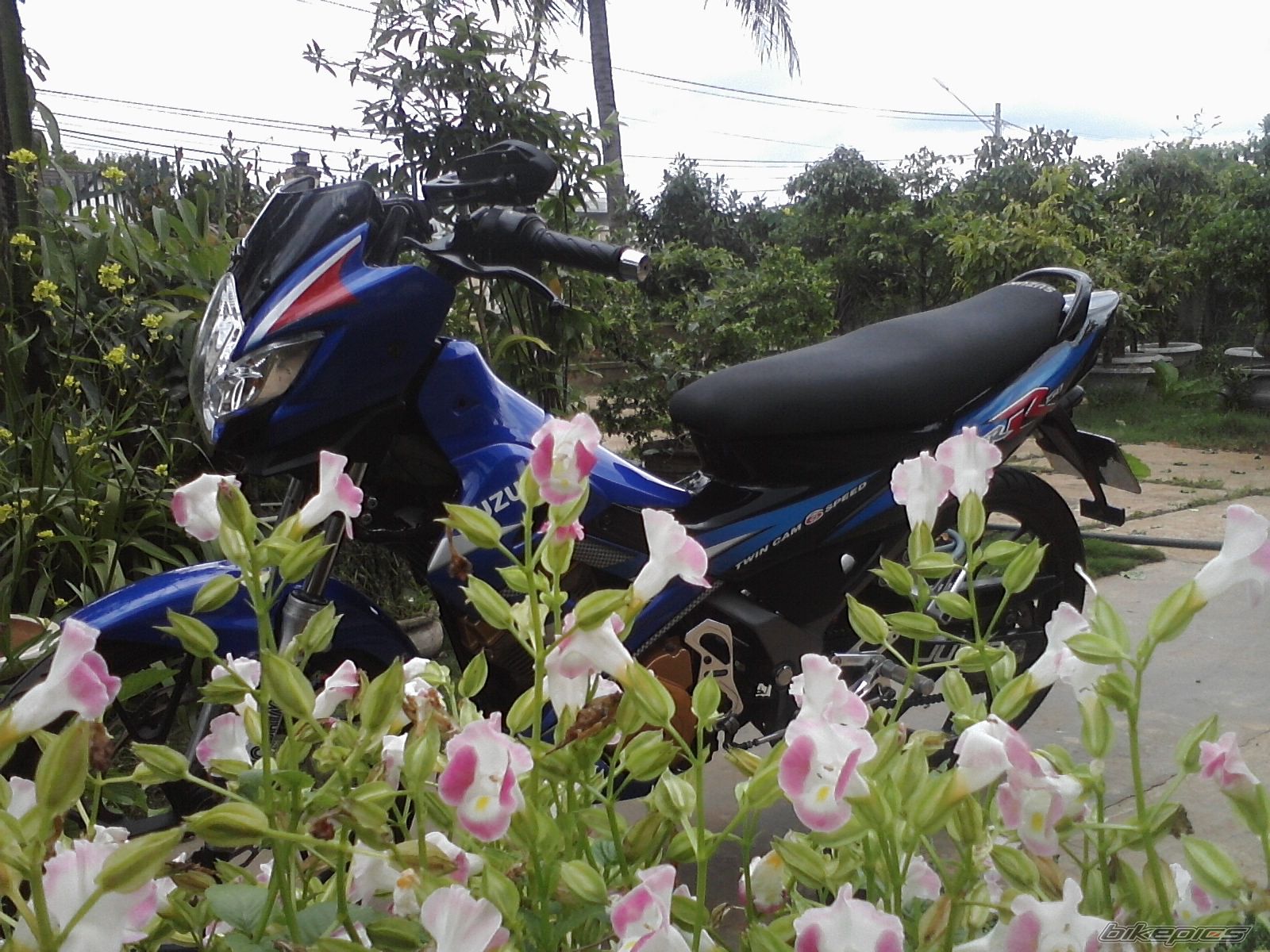 Photo 2252522