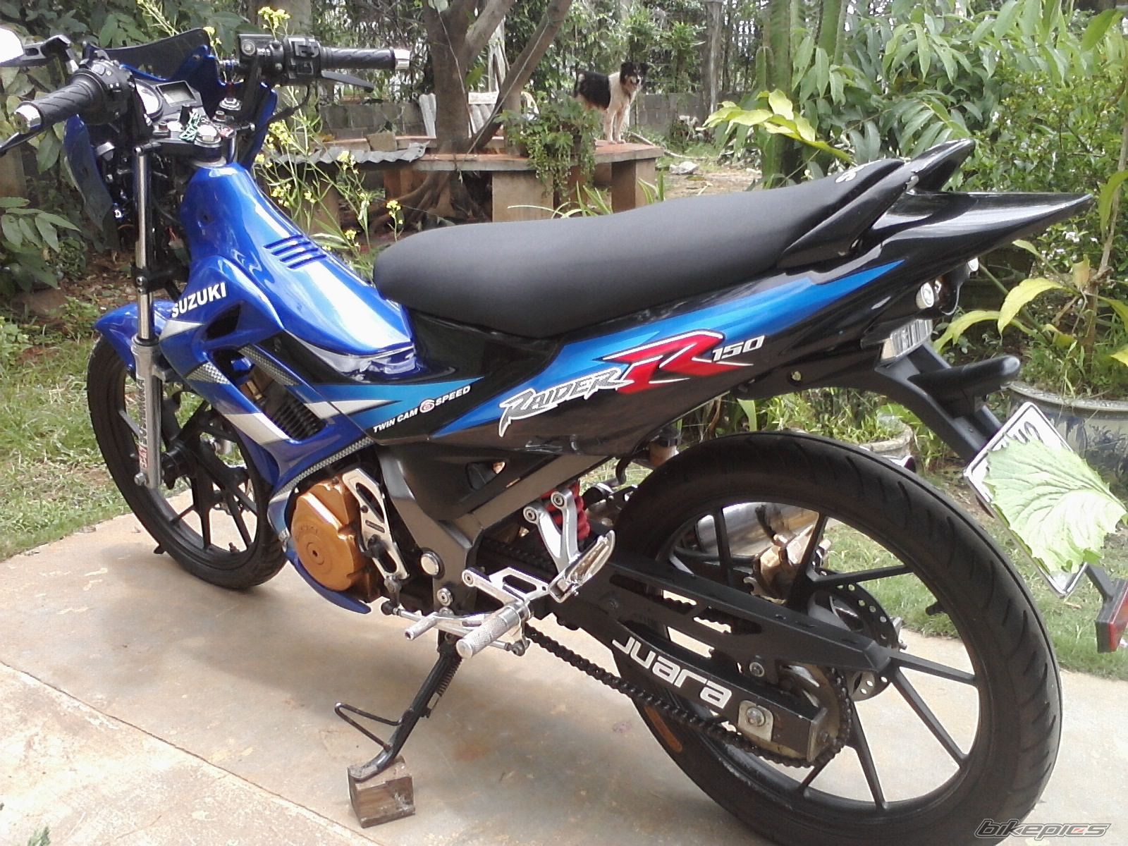 Photo 2252523