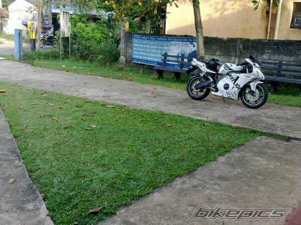 Photo 2252525
