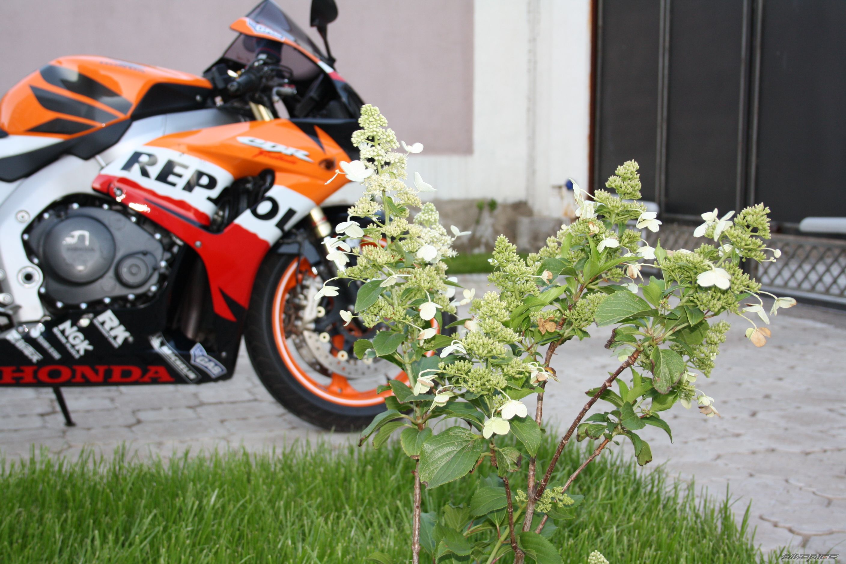 Photo 2252587