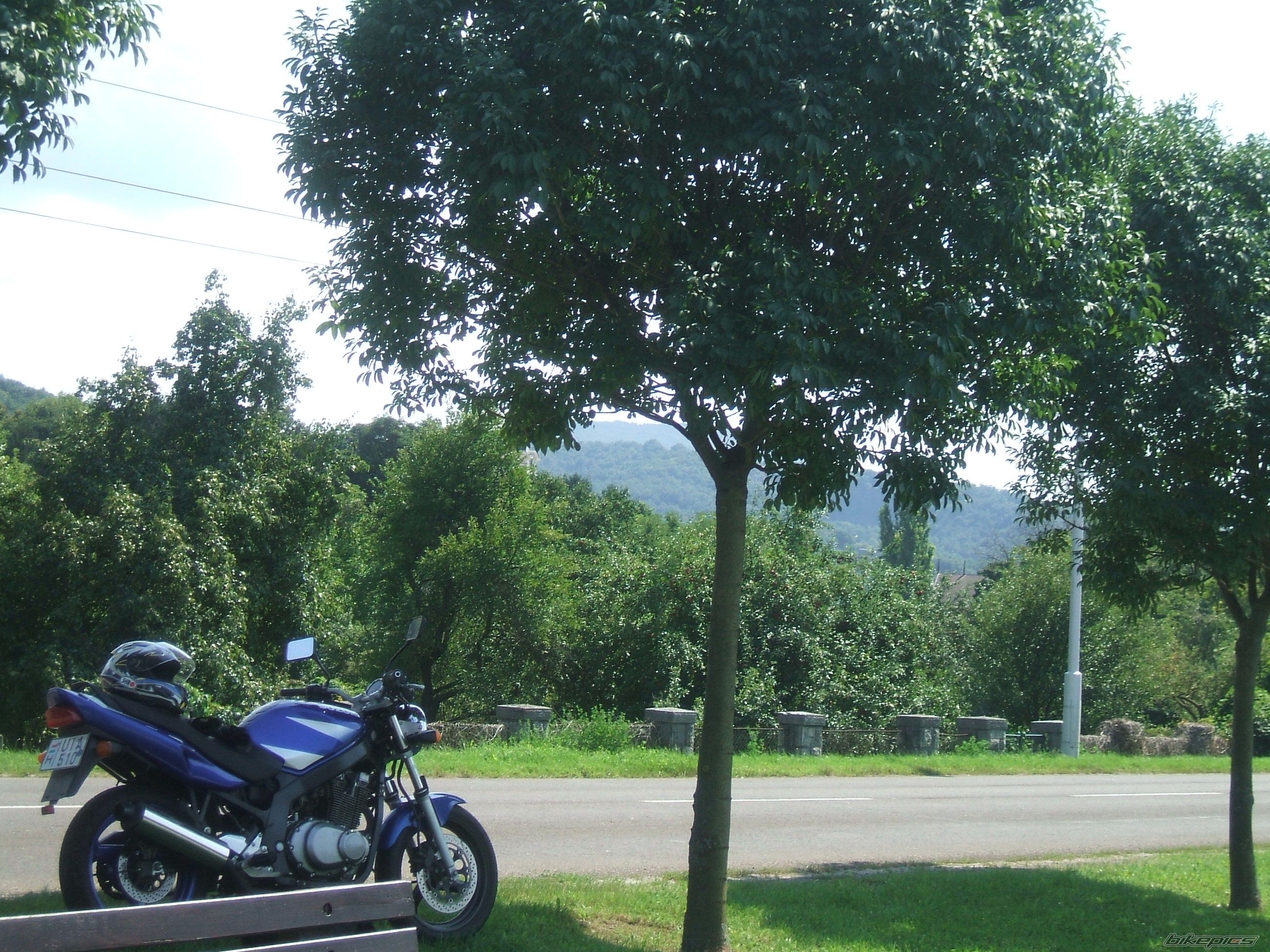 Photo 2252631
