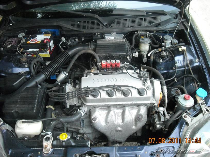 Photo 2252877