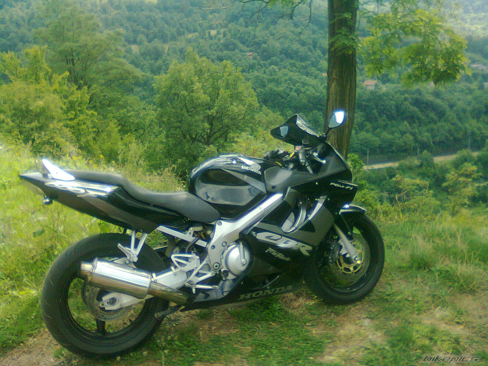 Photo 2253059