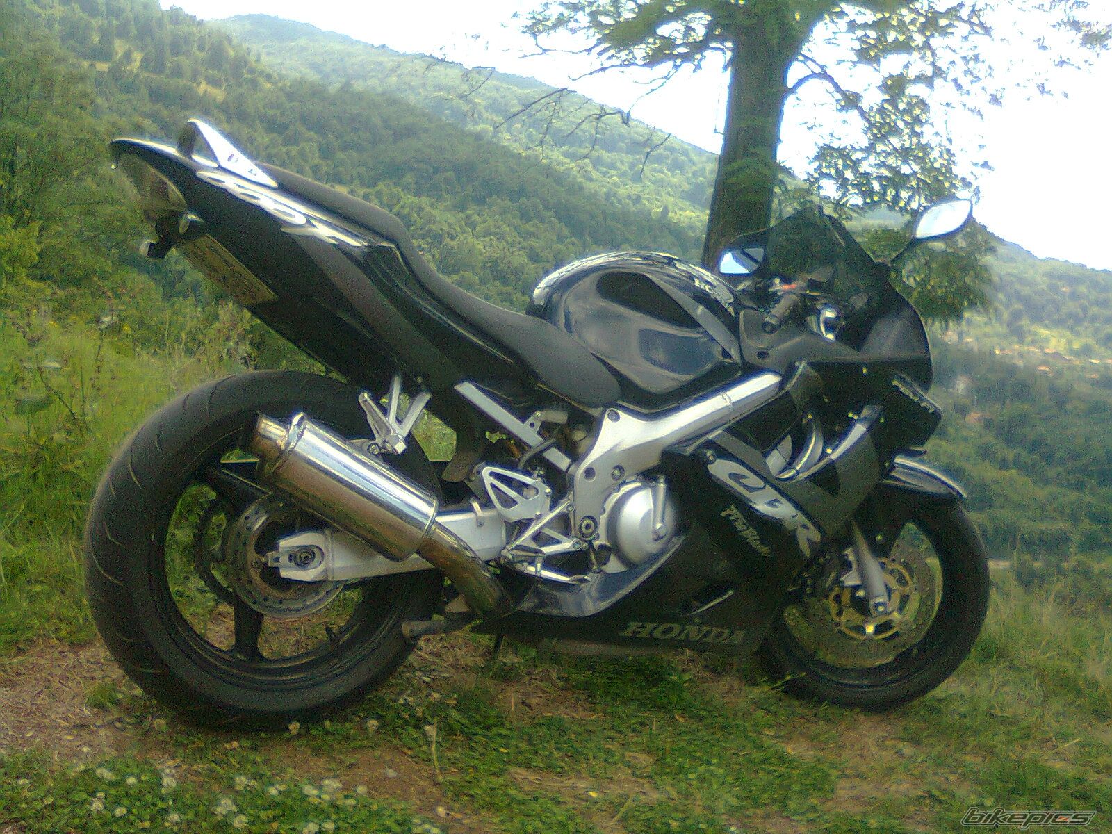 Photo 2253061