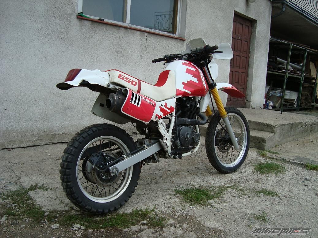 Photo 2253097