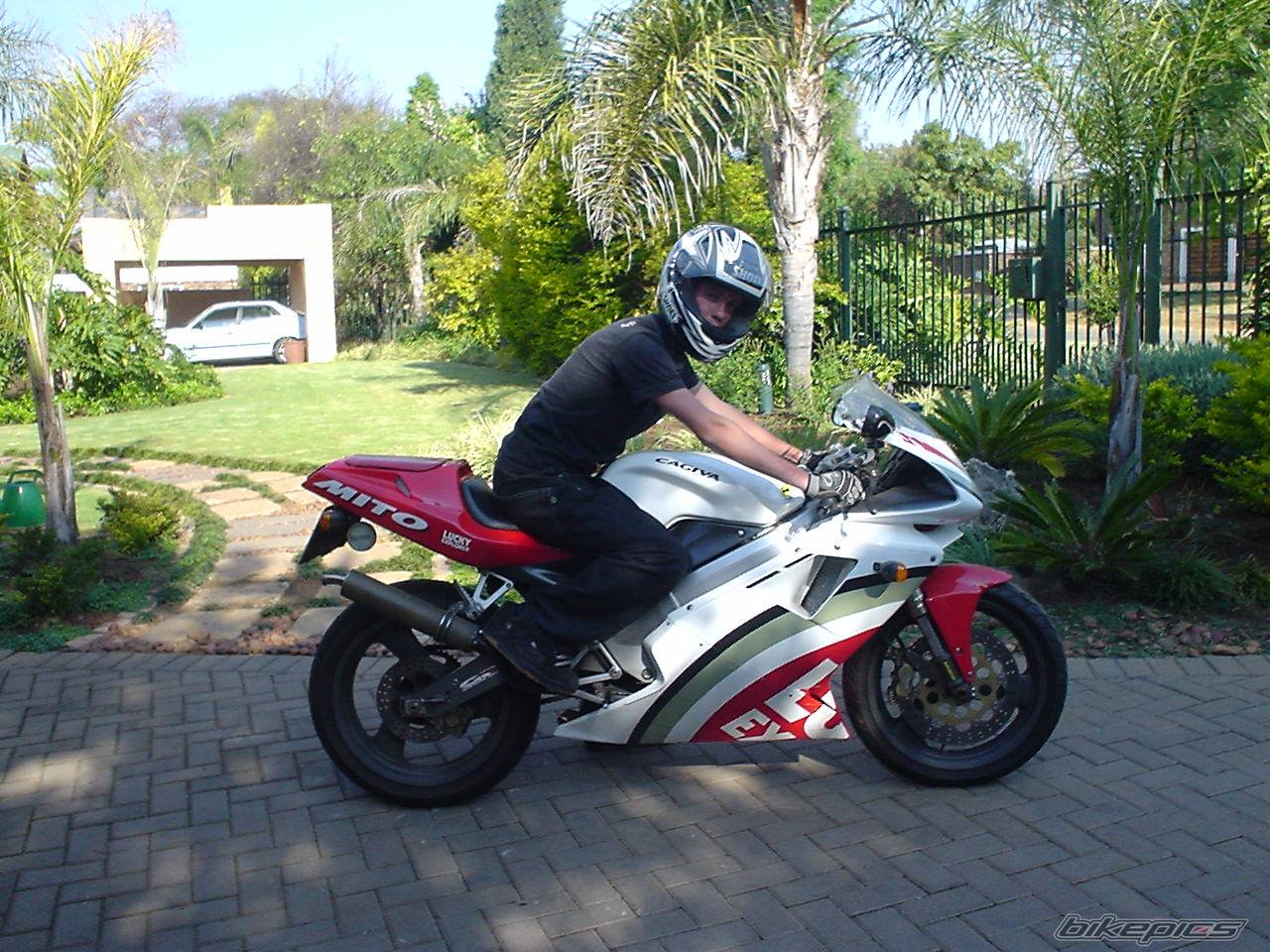 Photo 225321