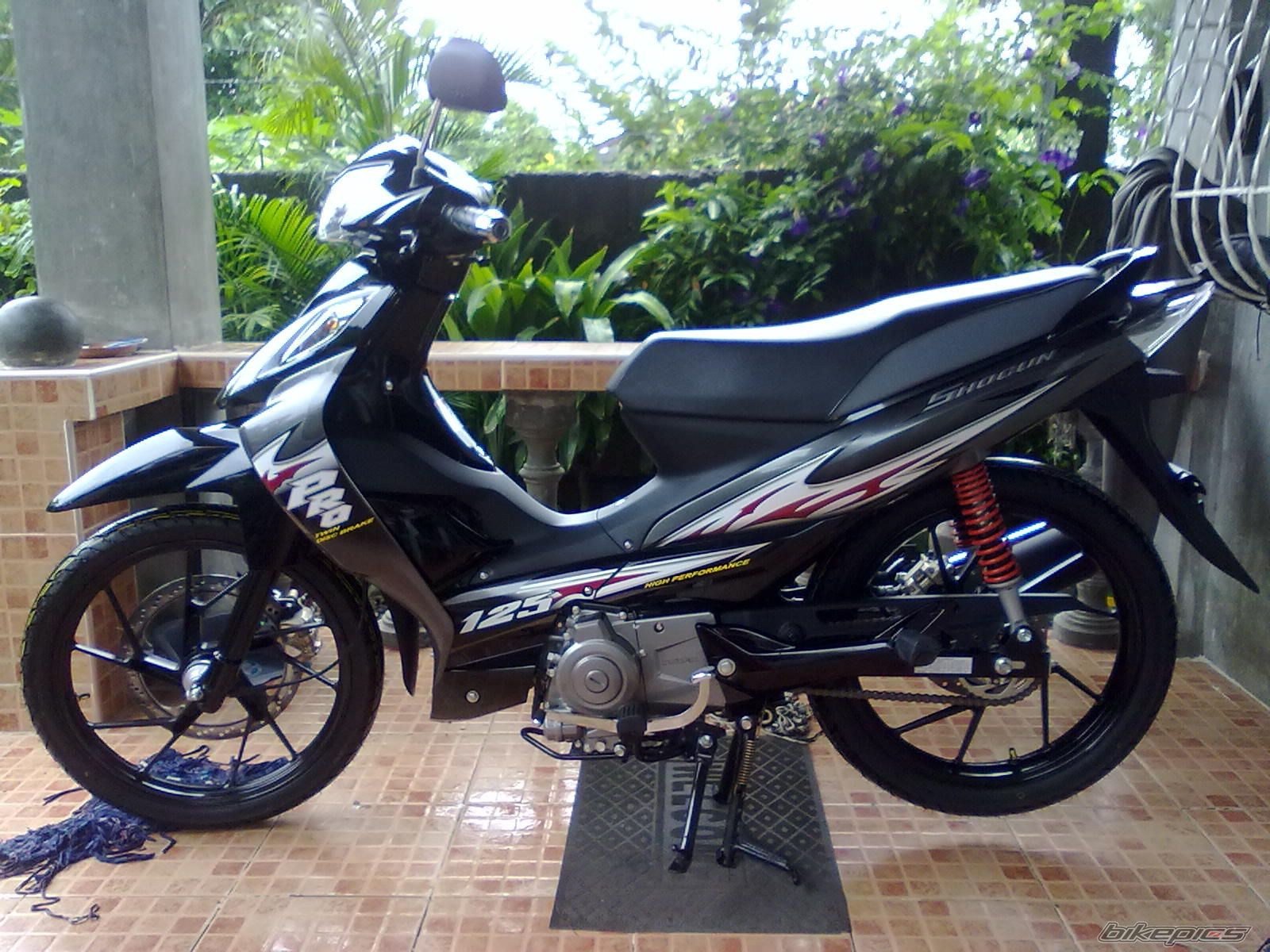 Photo 2253228