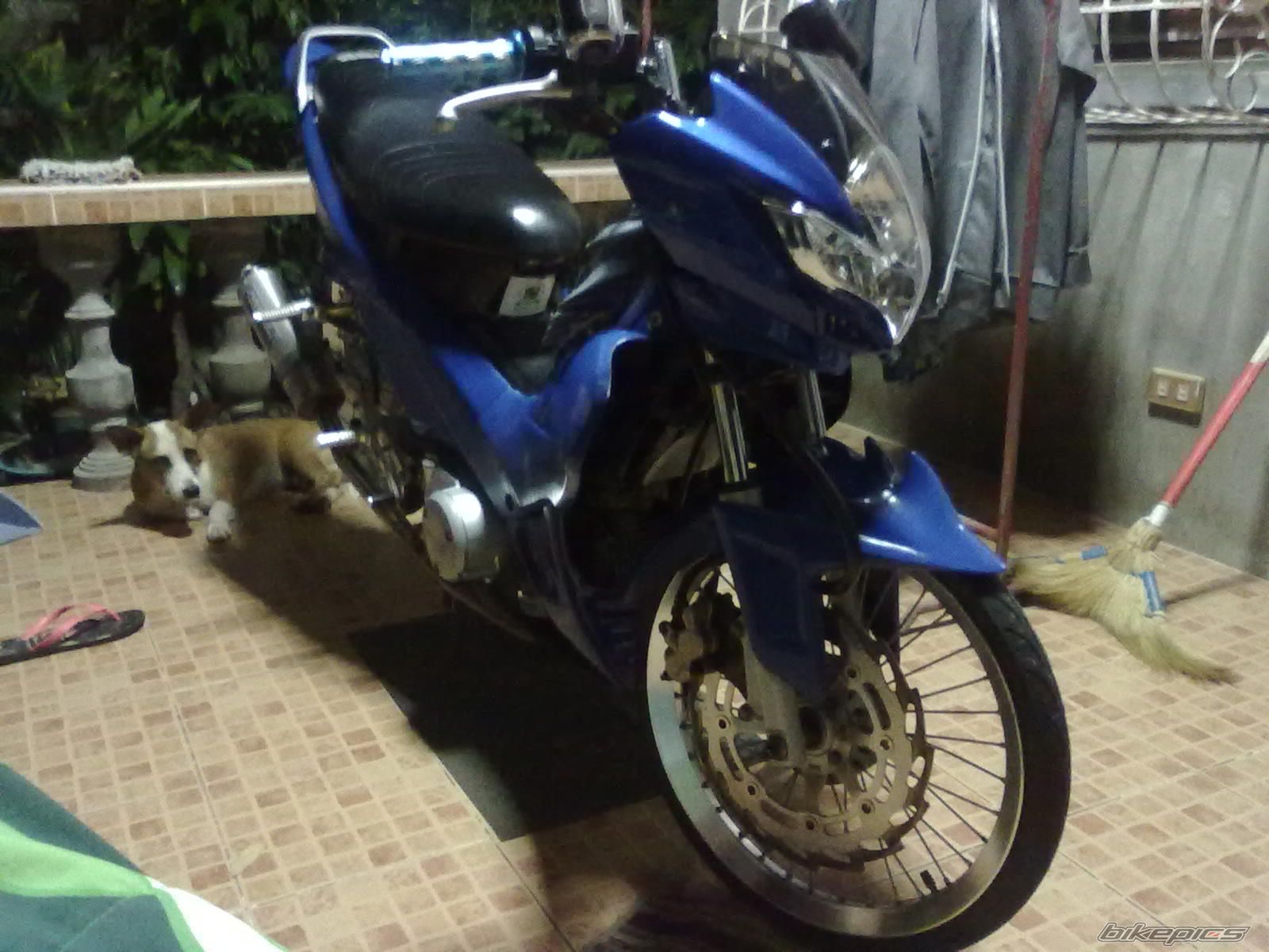 Photo 2253229