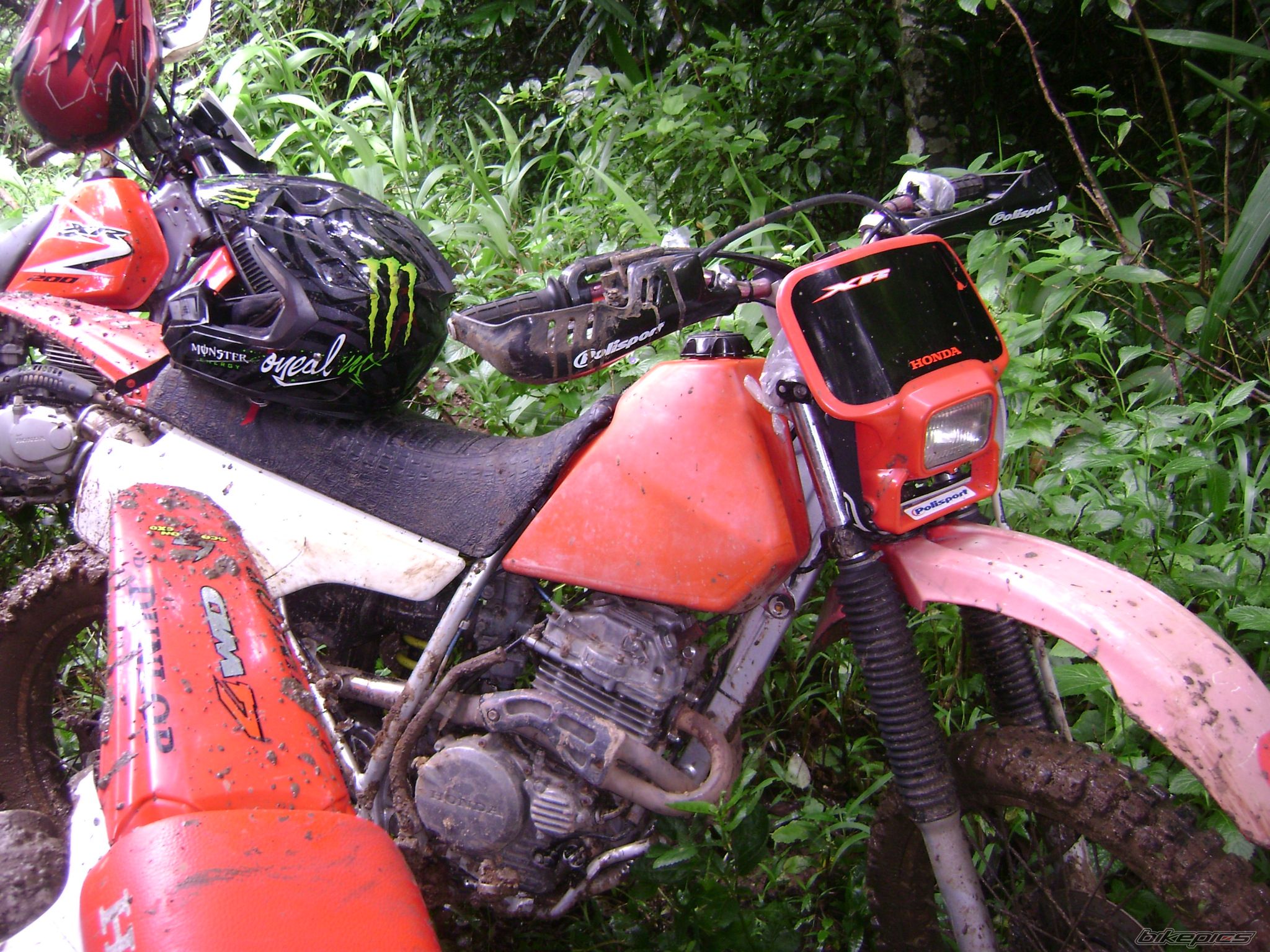 Photo 2253527