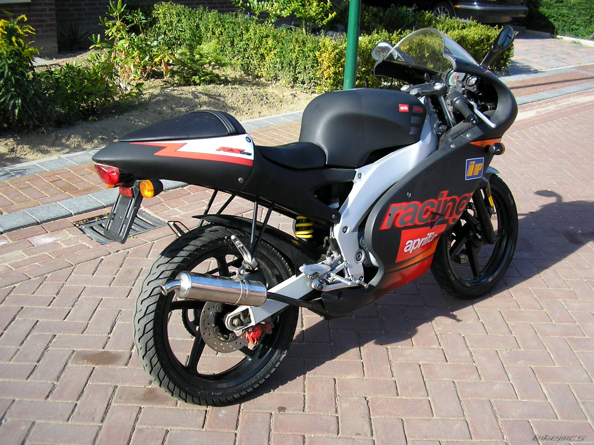 Photo 225387