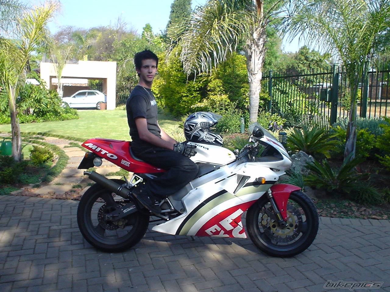 Photo 225392