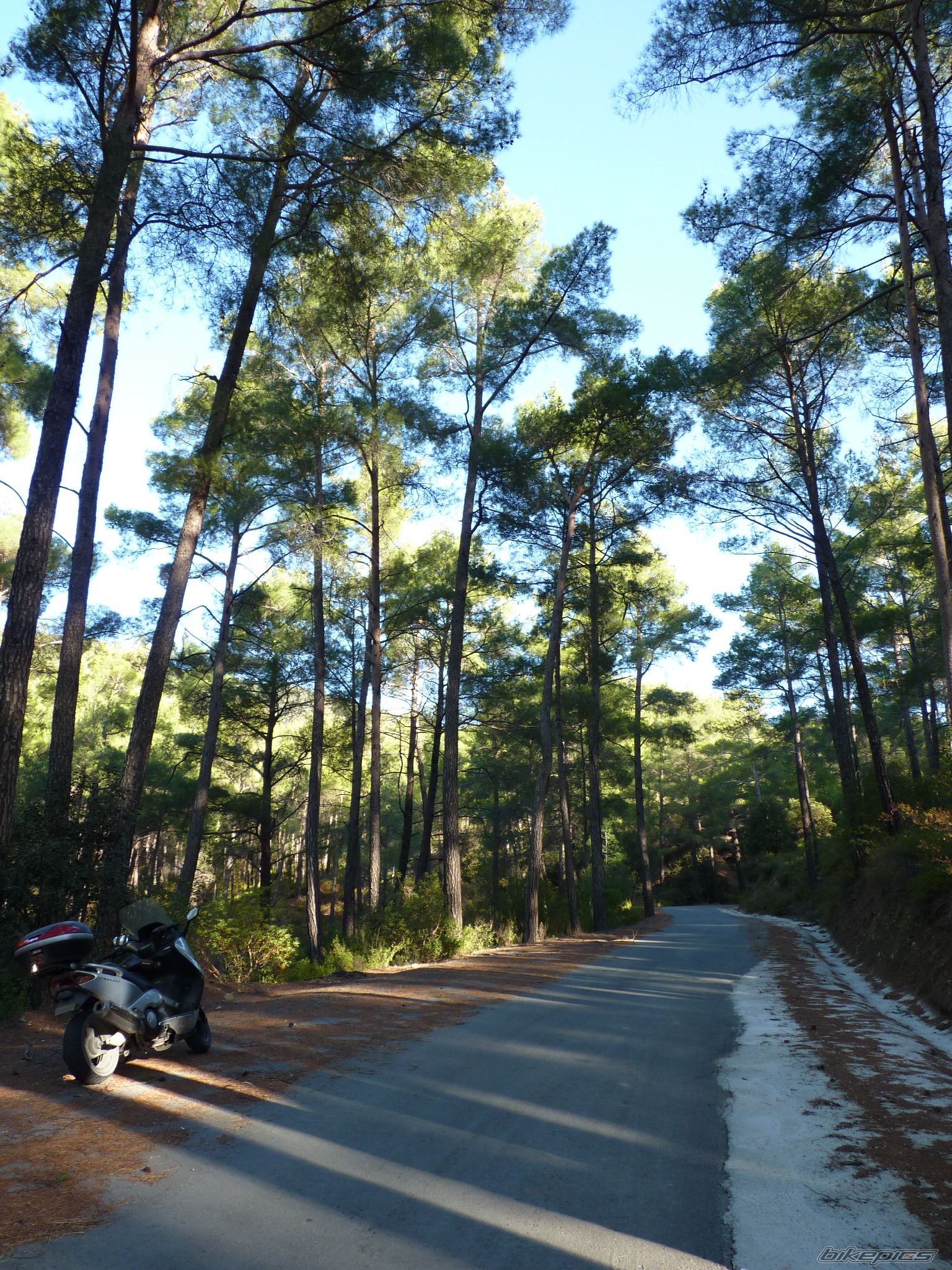 Bike Photo 2254080