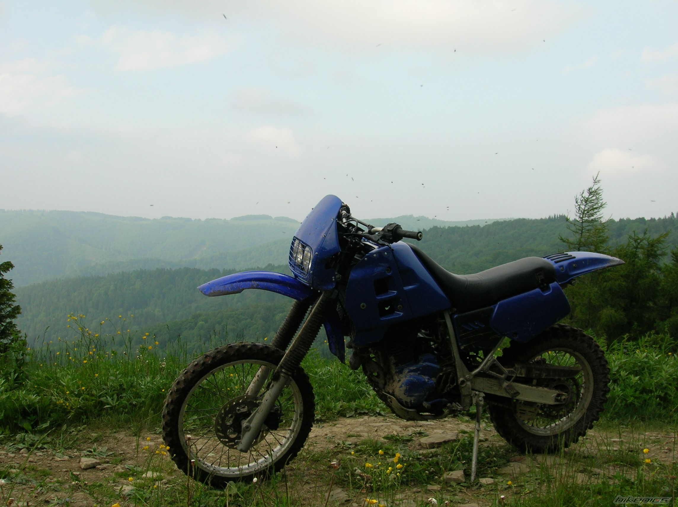 Photo 2254101