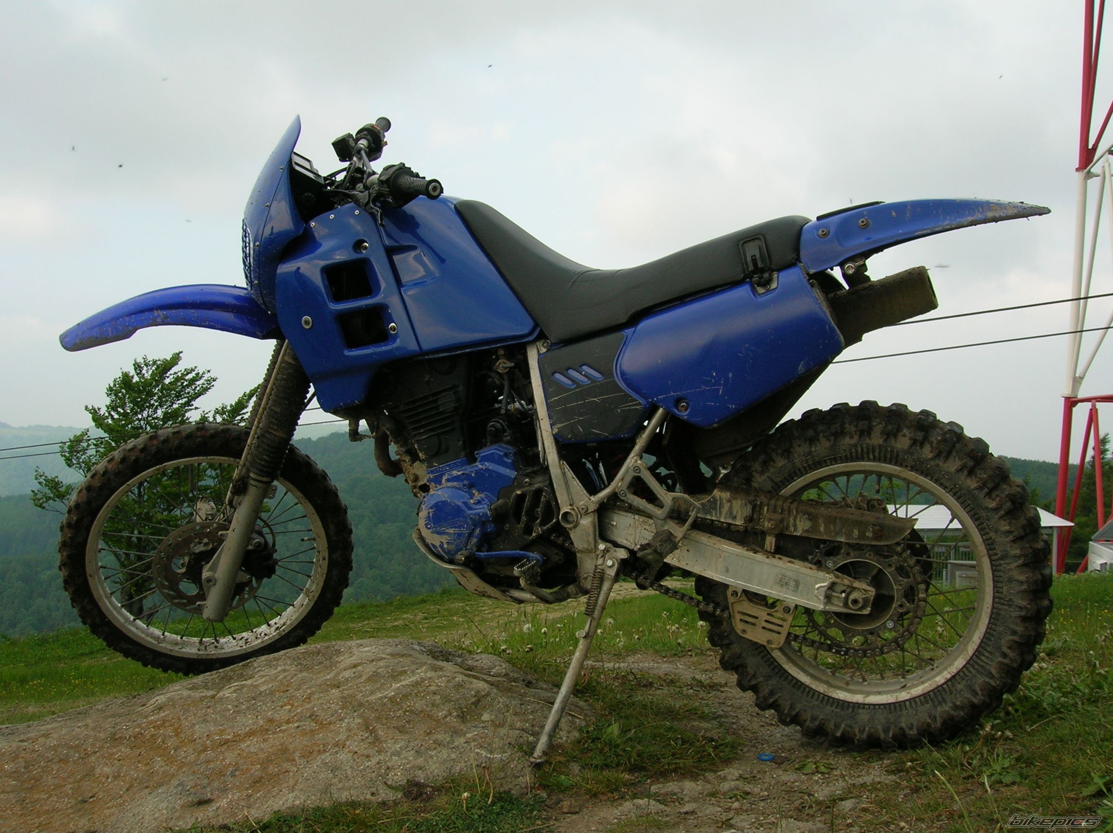Photo 2254105